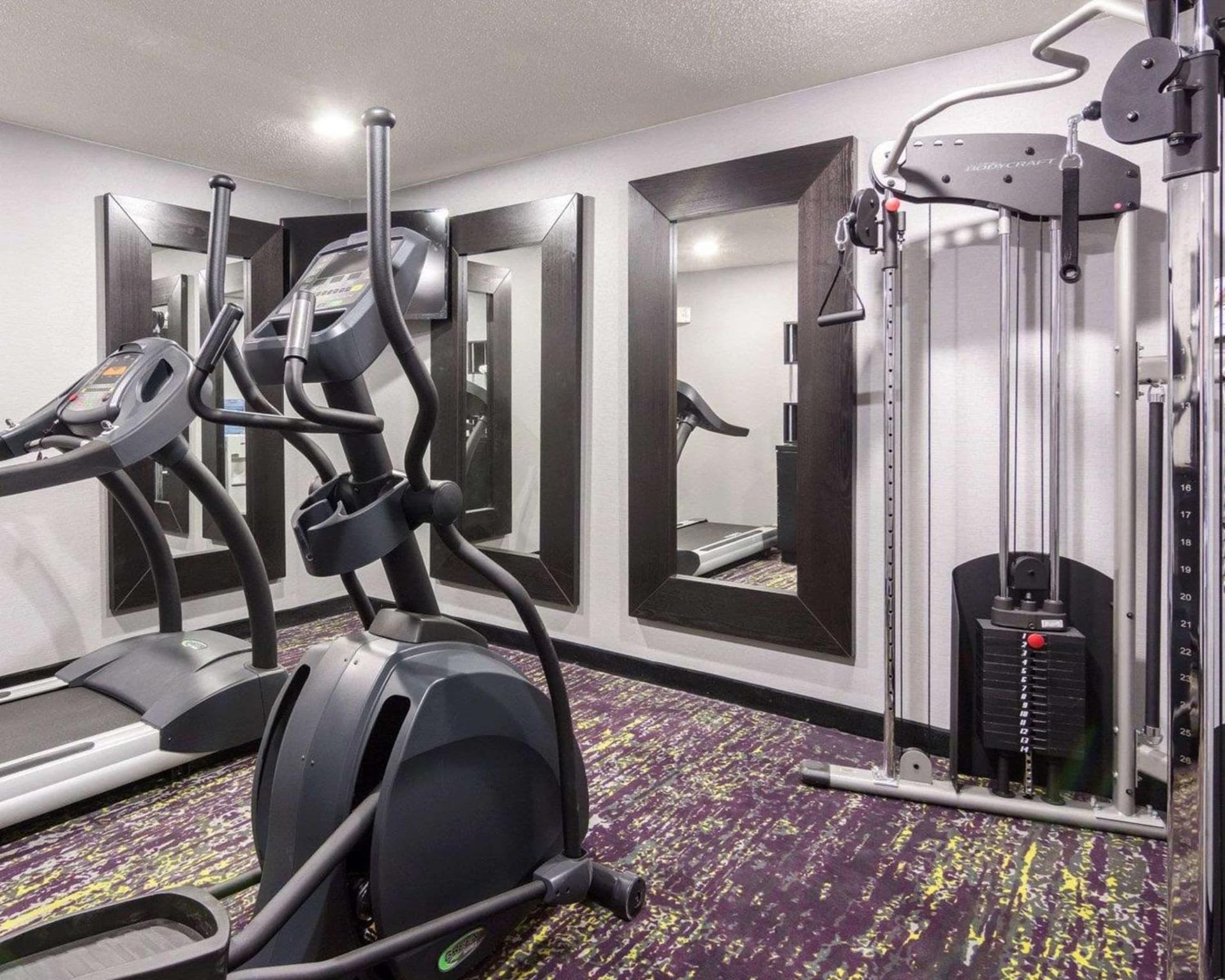 Quality Inn & Suites Ashland near Kings Dominion gallery photo in Ashland, VA — image 8