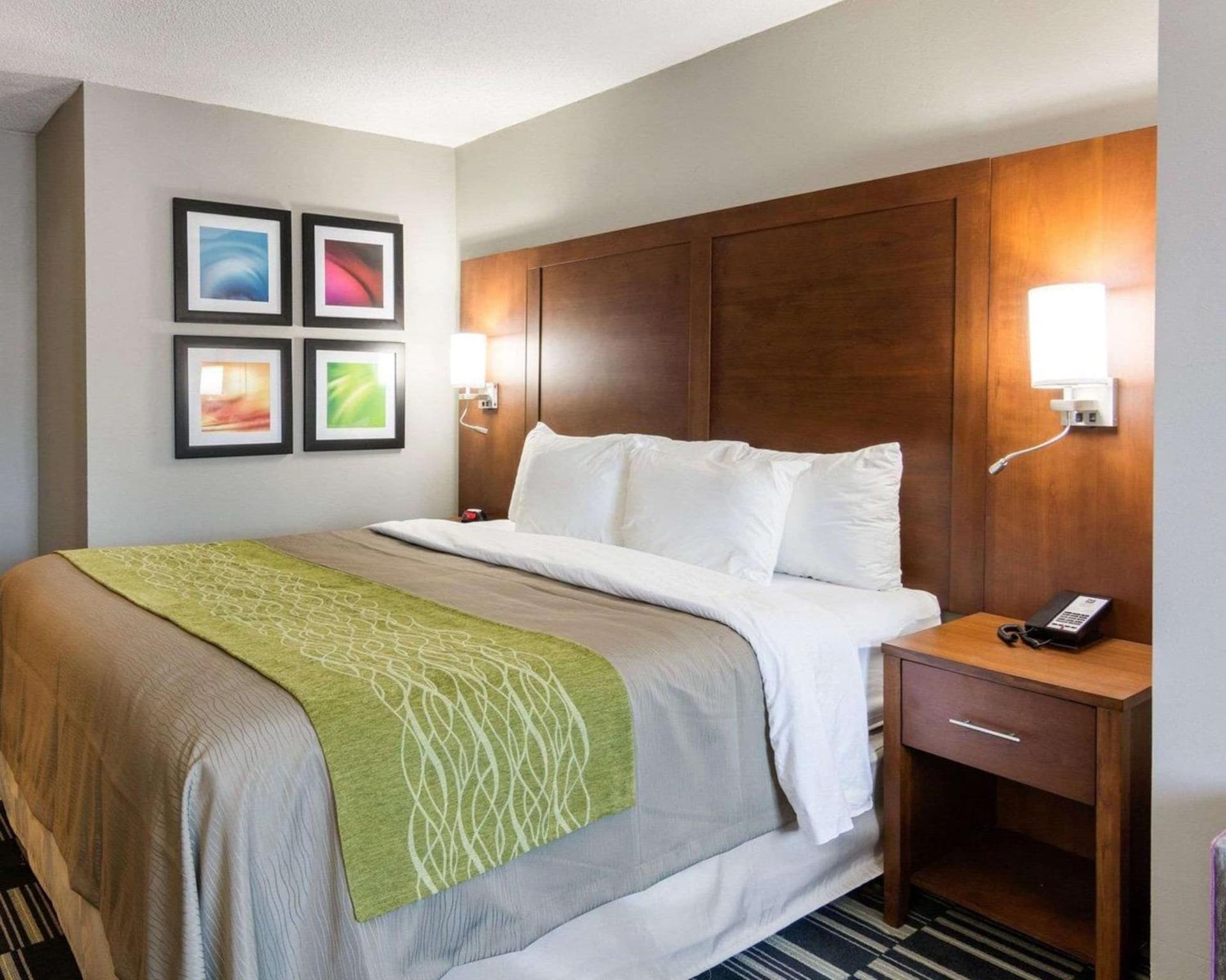 Quality Inn & Suites Ashland near Kings Dominion gallery photo in Ashland, VA — image 16