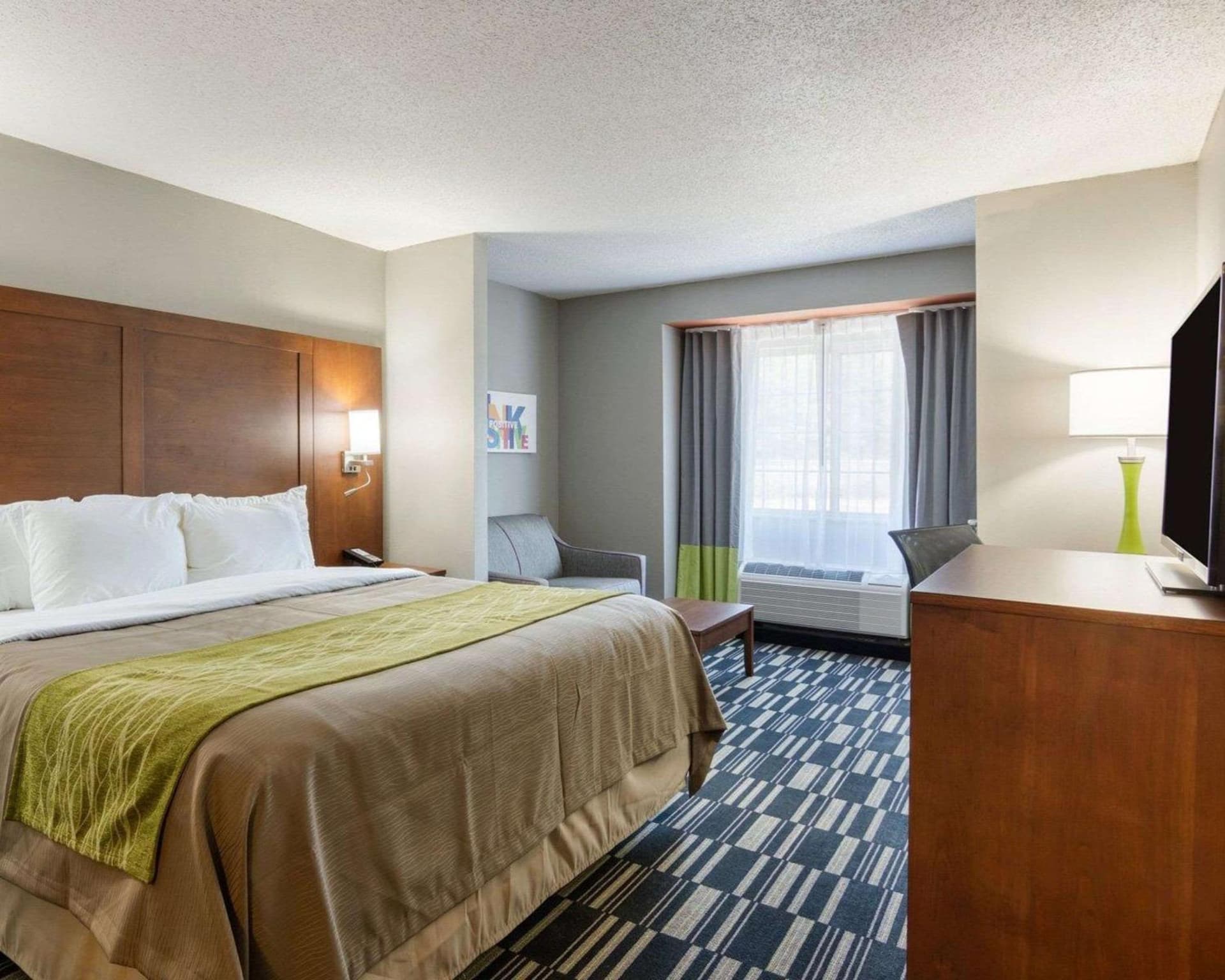 Quality Inn & Suites Ashland near Kings Dominion gallery photo in Ashland, VA — image 6
