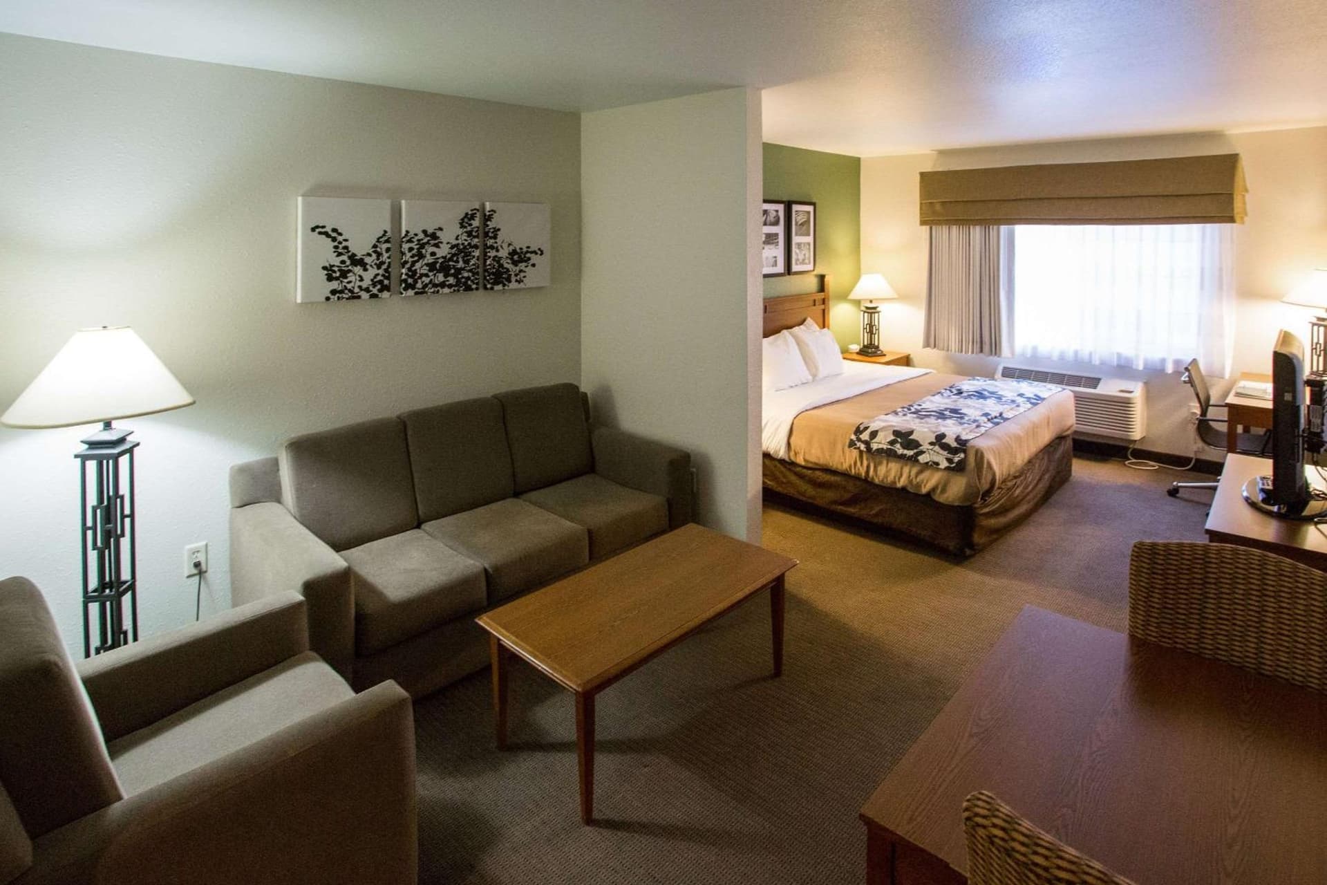 Sleep Inn & Suites Conference Center Eau Claire North gallery photo in Union, WI — image 17