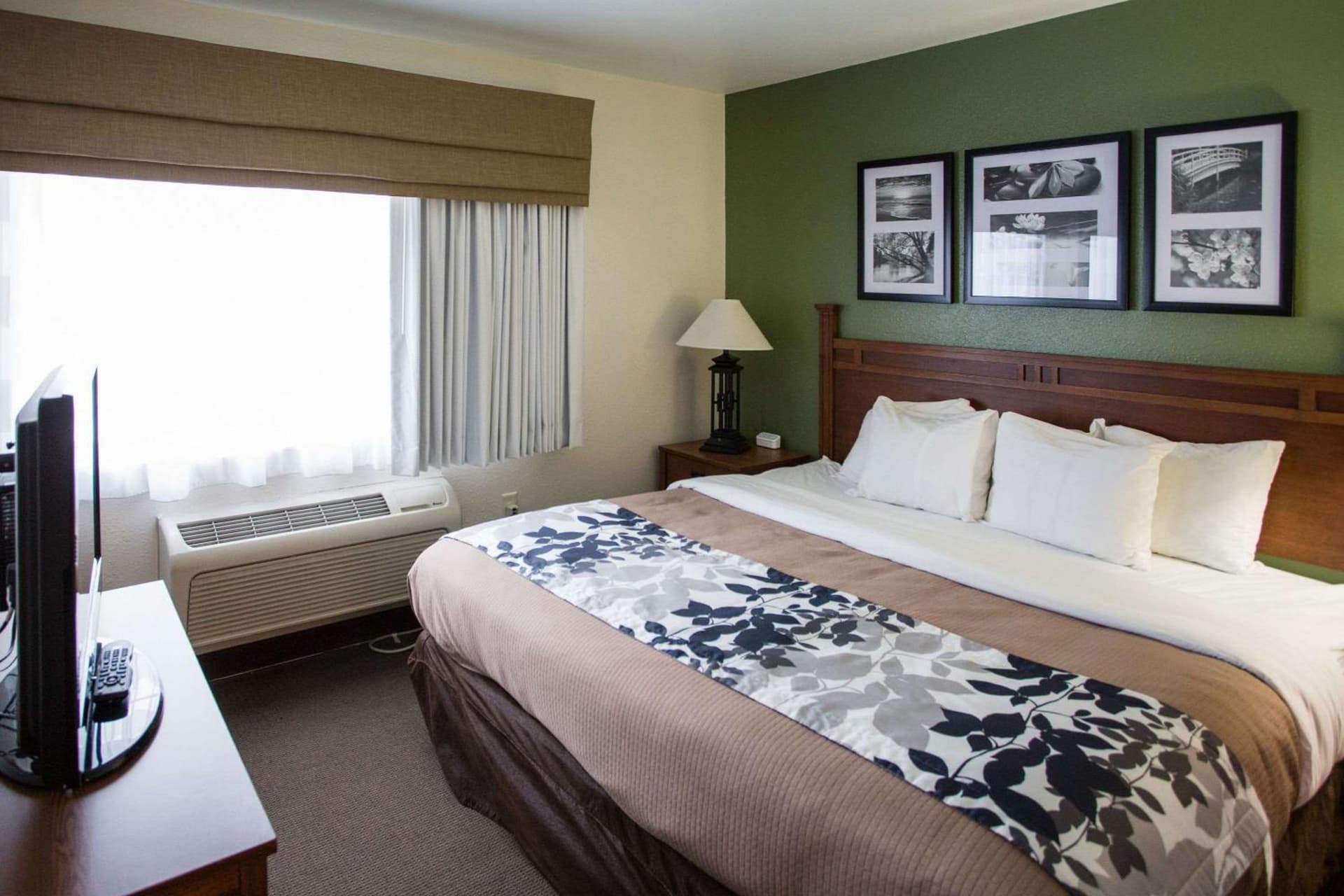 Sleep Inn & Suites Conference Center Eau Claire North gallery photo in Union, WI — image 14