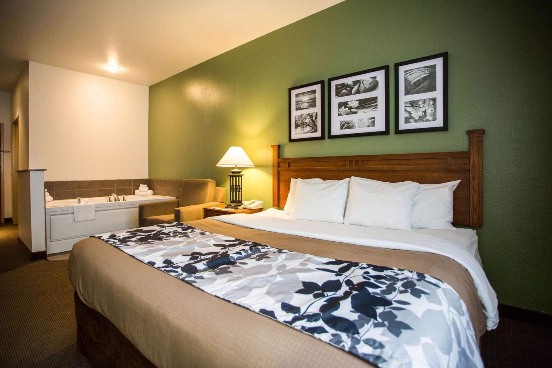 Sleep Inn & Suites Conference Center Eau Claire North gallery photo in Union, WI — image 23