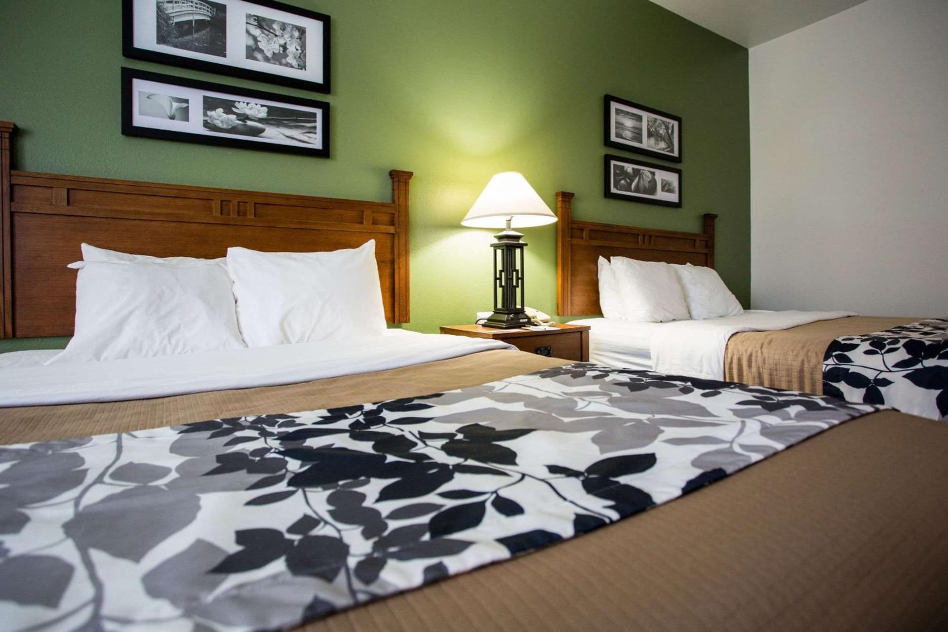 Sleep Inn & Suites Conference Center Eau Claire North gallery photo in Union, WI — image 4