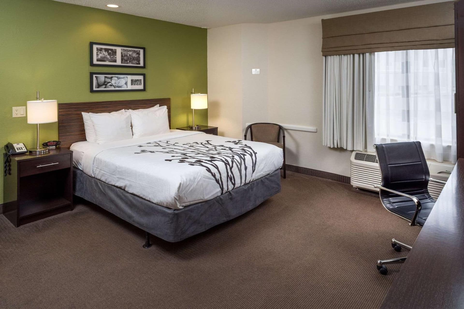 Sleep Inn & Suites Cross Lanes - South Charleston gallery photo in Cross Lanes, WV — image 12
