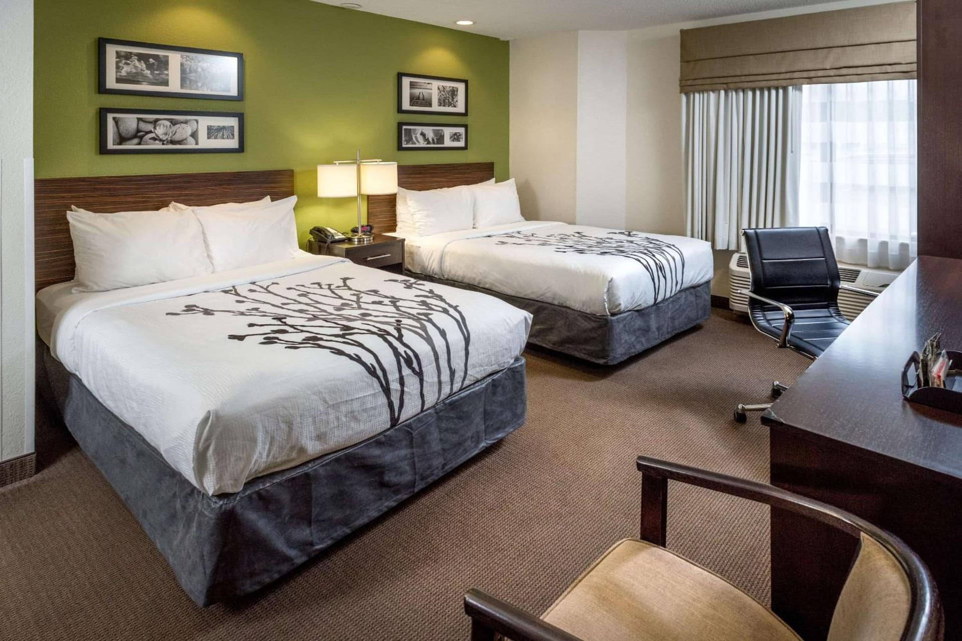 Sleep Inn & Suites Cross Lanes - South Charleston gallery photo in Cross Lanes, WV — image 27