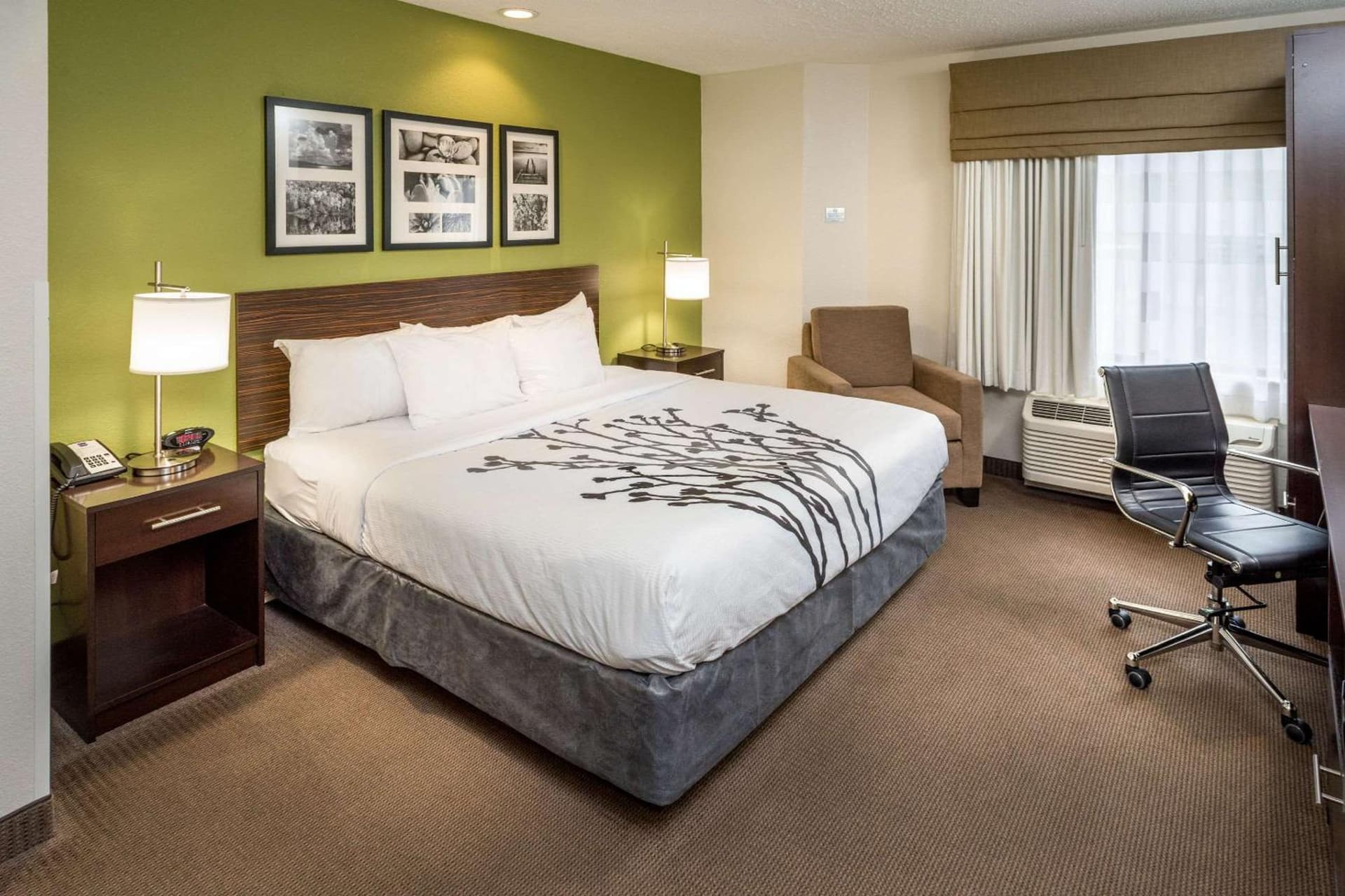 Sleep Inn & Suites Cross Lanes - South Charleston gallery photo in Cross Lanes, WV — image 18