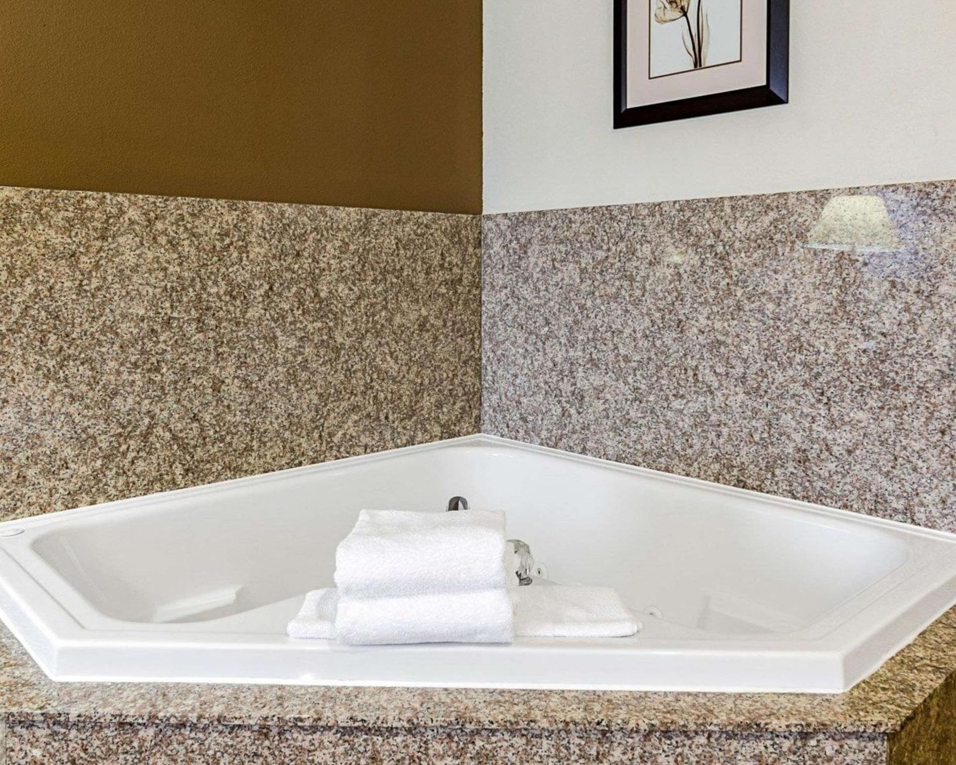 Comfort Inn & Suites Lawrence - University Area gallery photo in Lawrence, KS — image 29