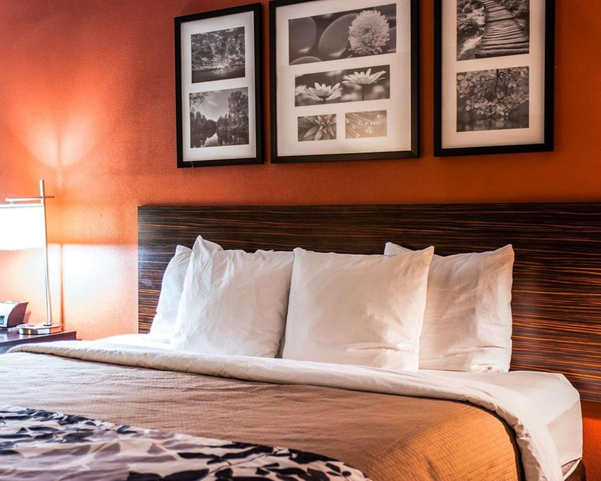 Sleep Inn & Suites Fort Campbell gallery photo in Oak Grove, KY — image 24