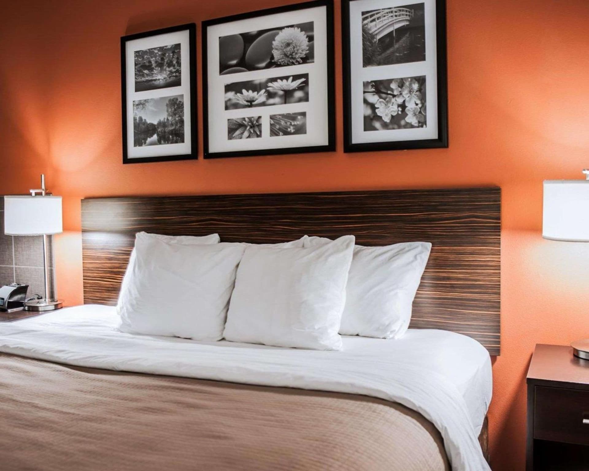 Sleep Inn & Suites Fort Campbell gallery photo in Oak Grove, KY — image 5