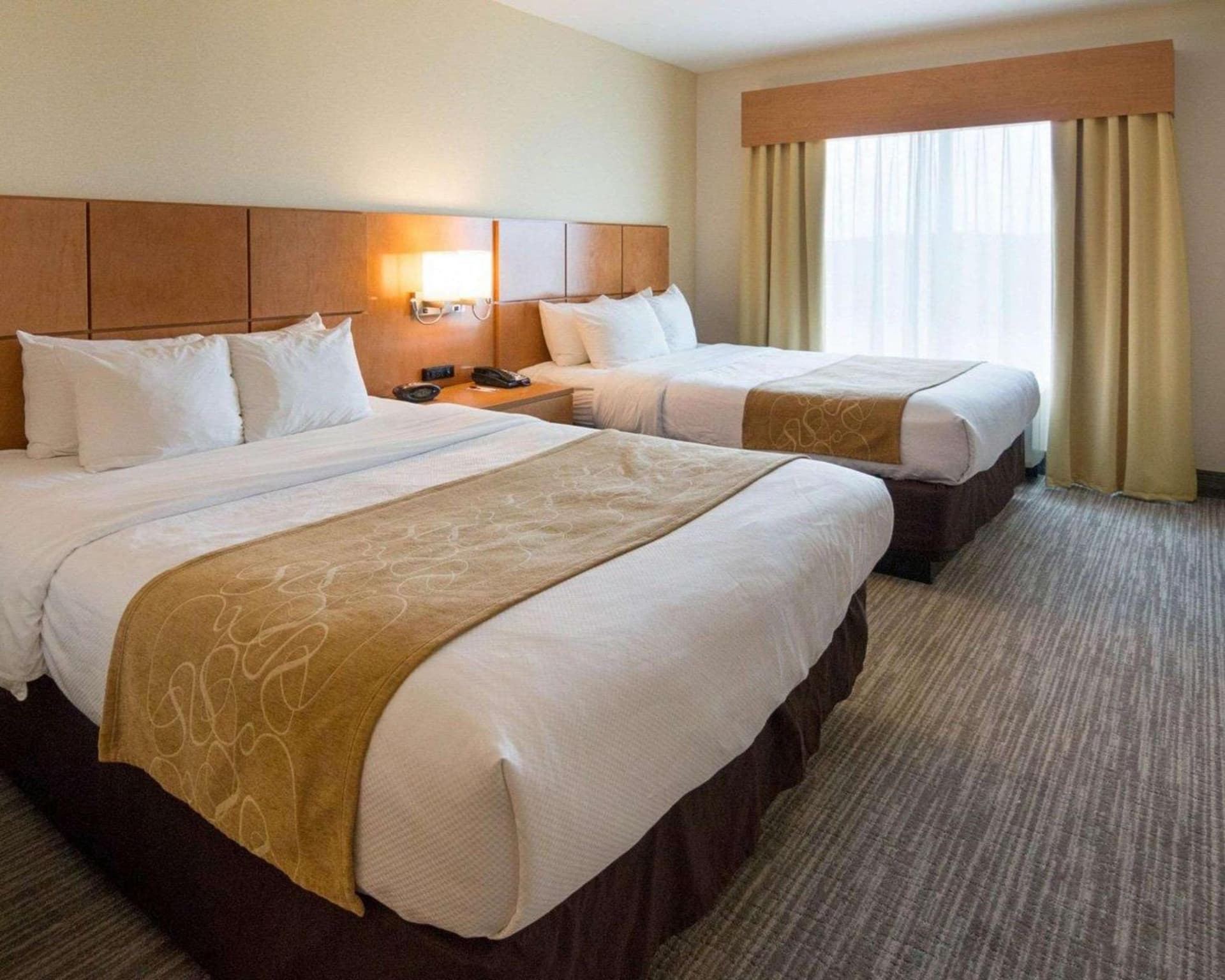 Comfort Suites Bossier City - Shreveport East gallery photo in Bossier City, LA — image 44