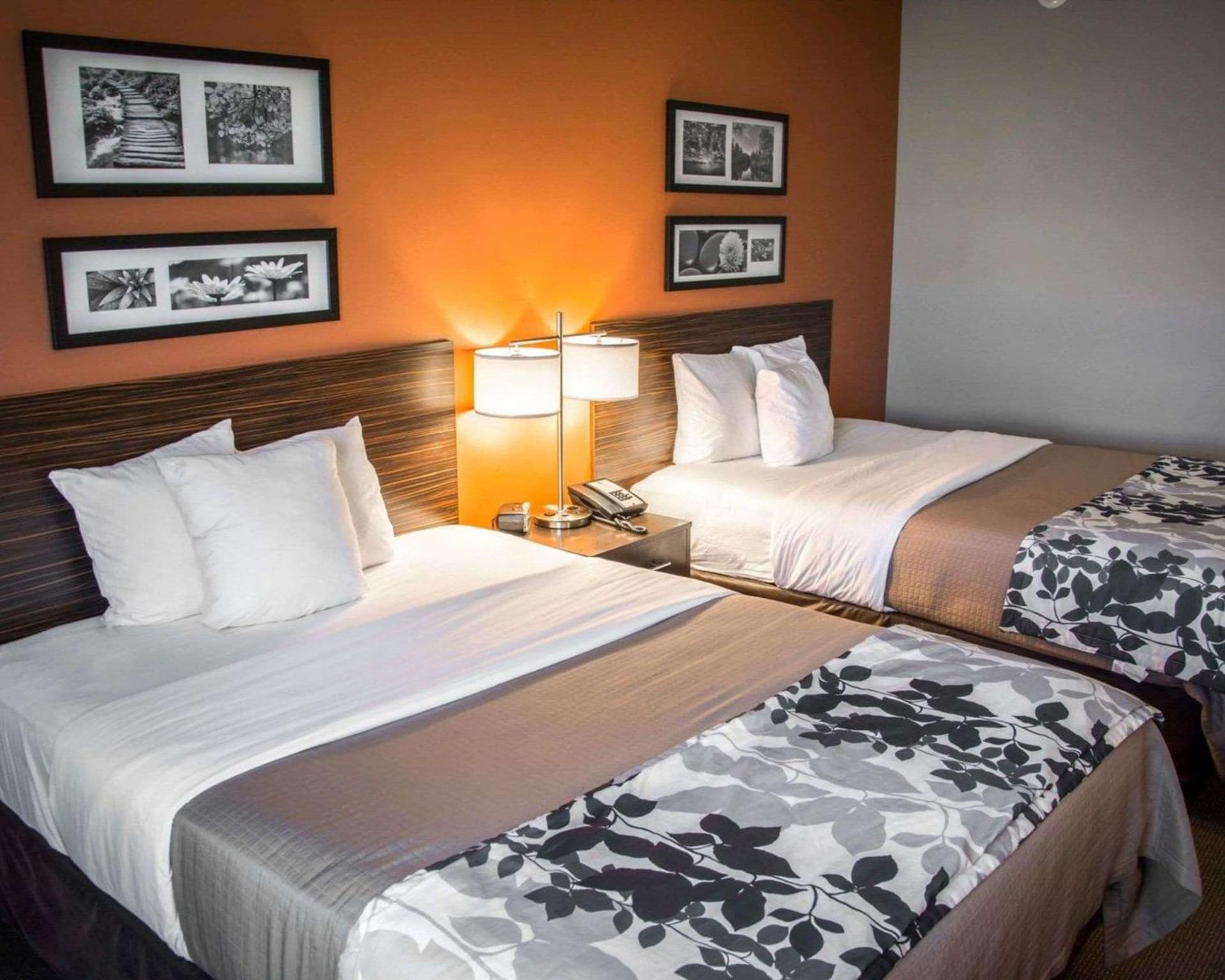 Sleep Inn & Suites Shreveport near Medical Center gallery photo in Shreveport, LA — image 5