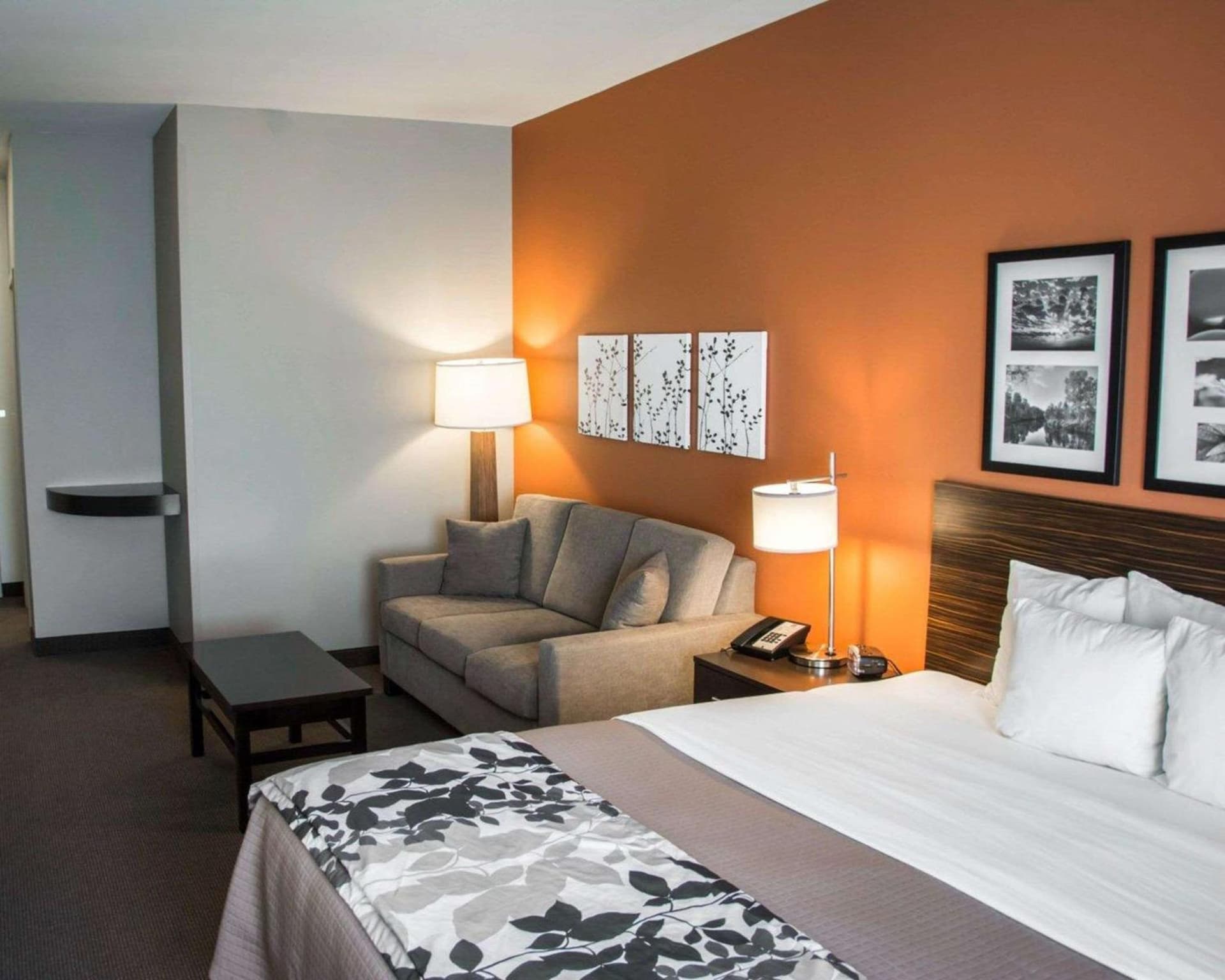 Sleep Inn & Suites Shreveport near Medical Center gallery photo in Shreveport, LA — image 16