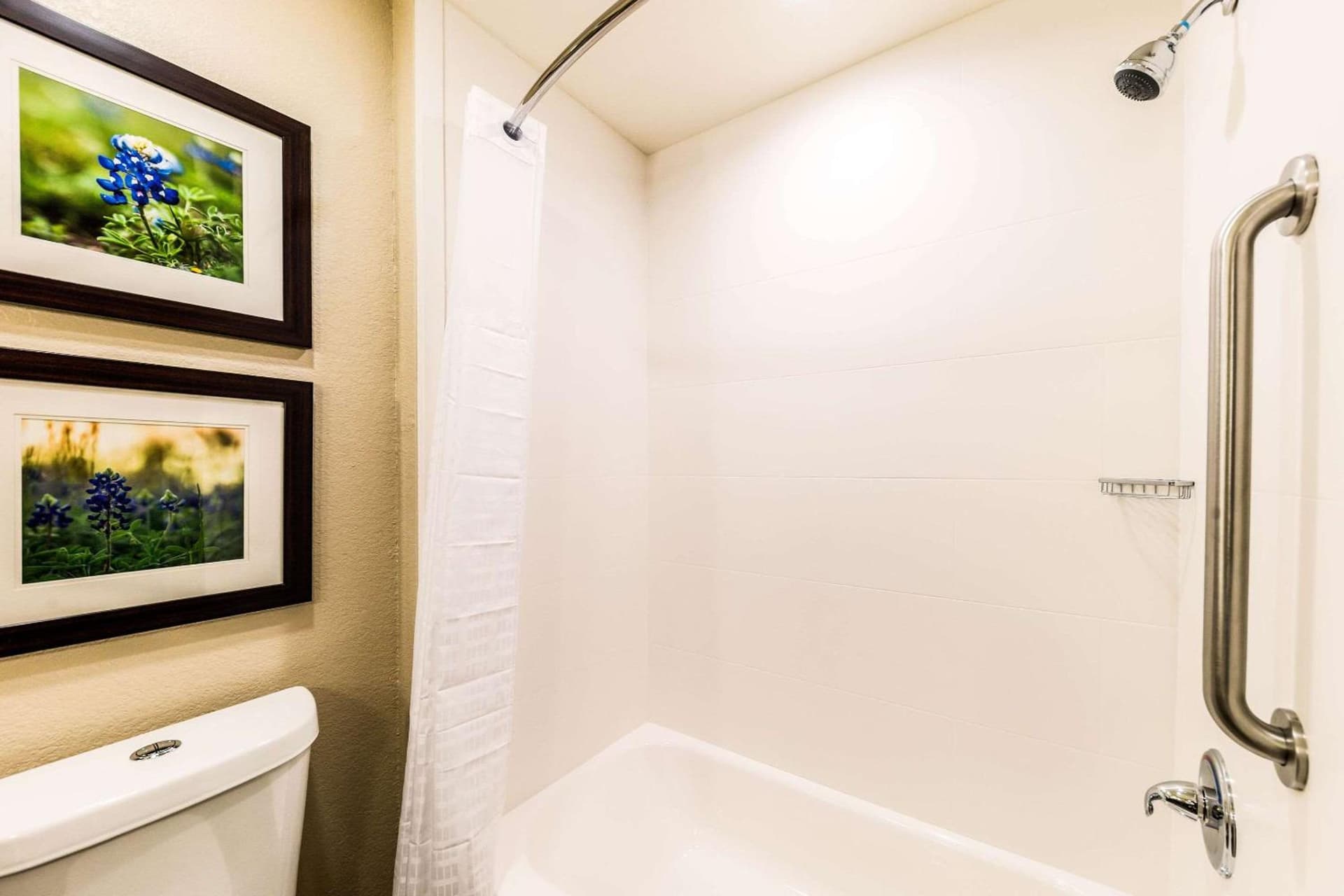 Comfort Suites Grand Prairie - Arlington North gallery photo in Grand Prairie, TX — image 34