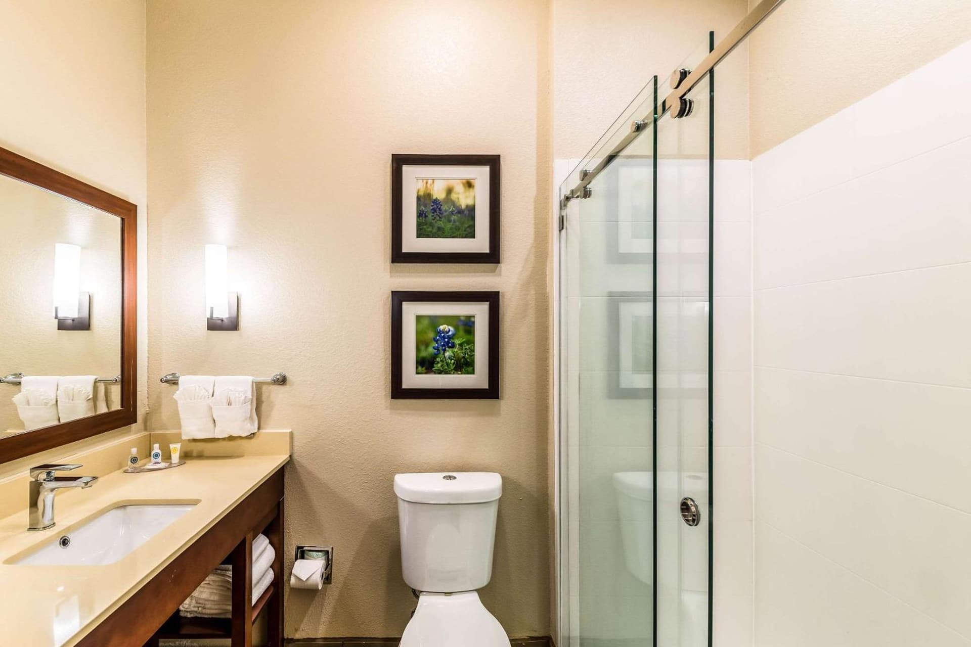 Comfort Suites Grand Prairie - Arlington North gallery photo in Grand Prairie, TX — image 25