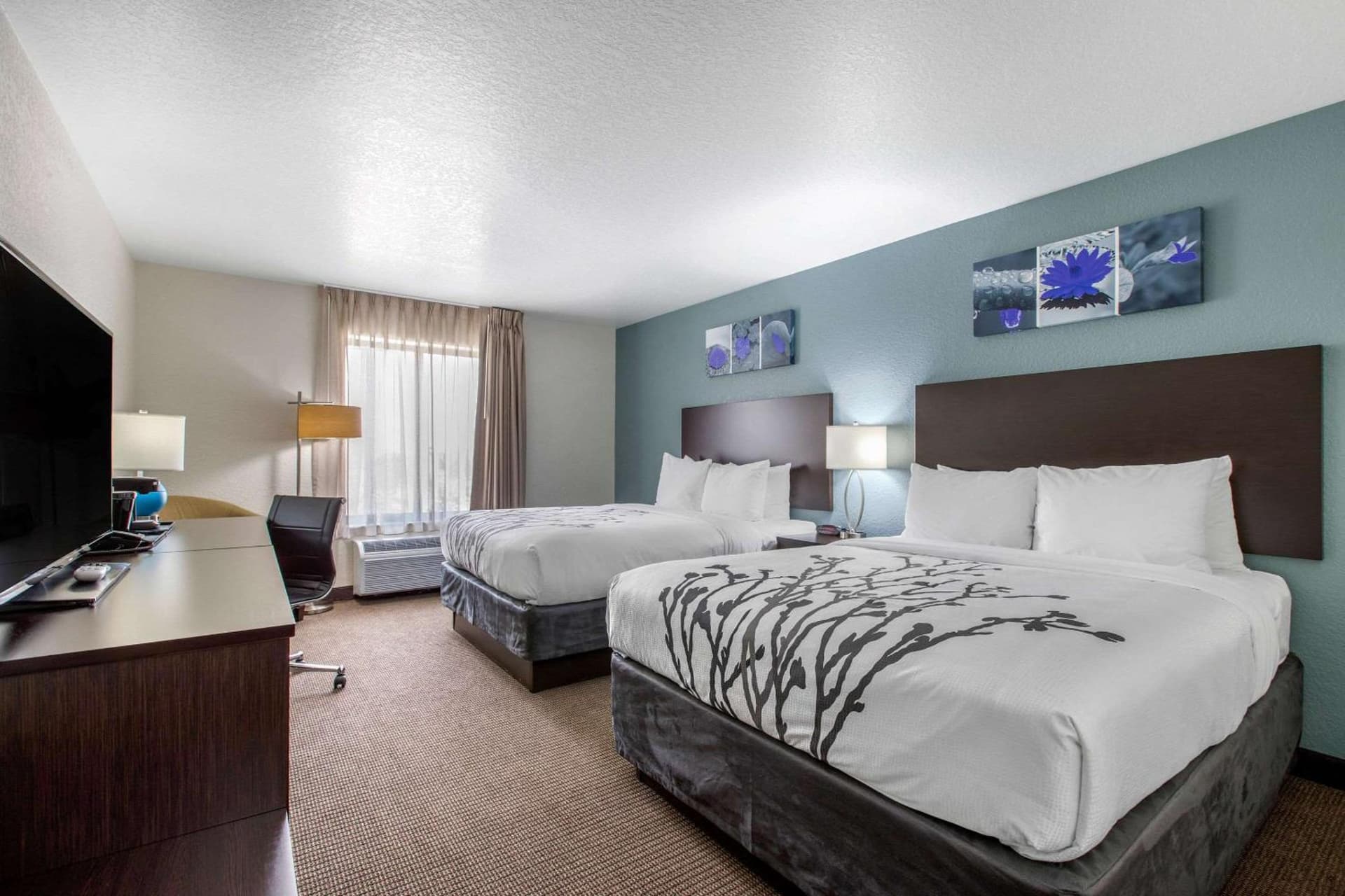 Sleep Inn and Suites - Ankeny gallery photo in Ankeny, IA — image 23