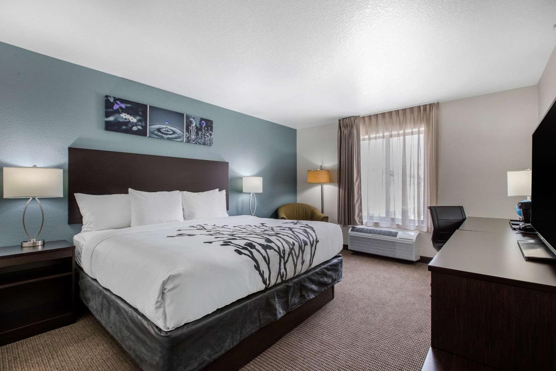 Sleep Inn and Suites - Ankeny gallery photo in Ankeny, IA — image 10