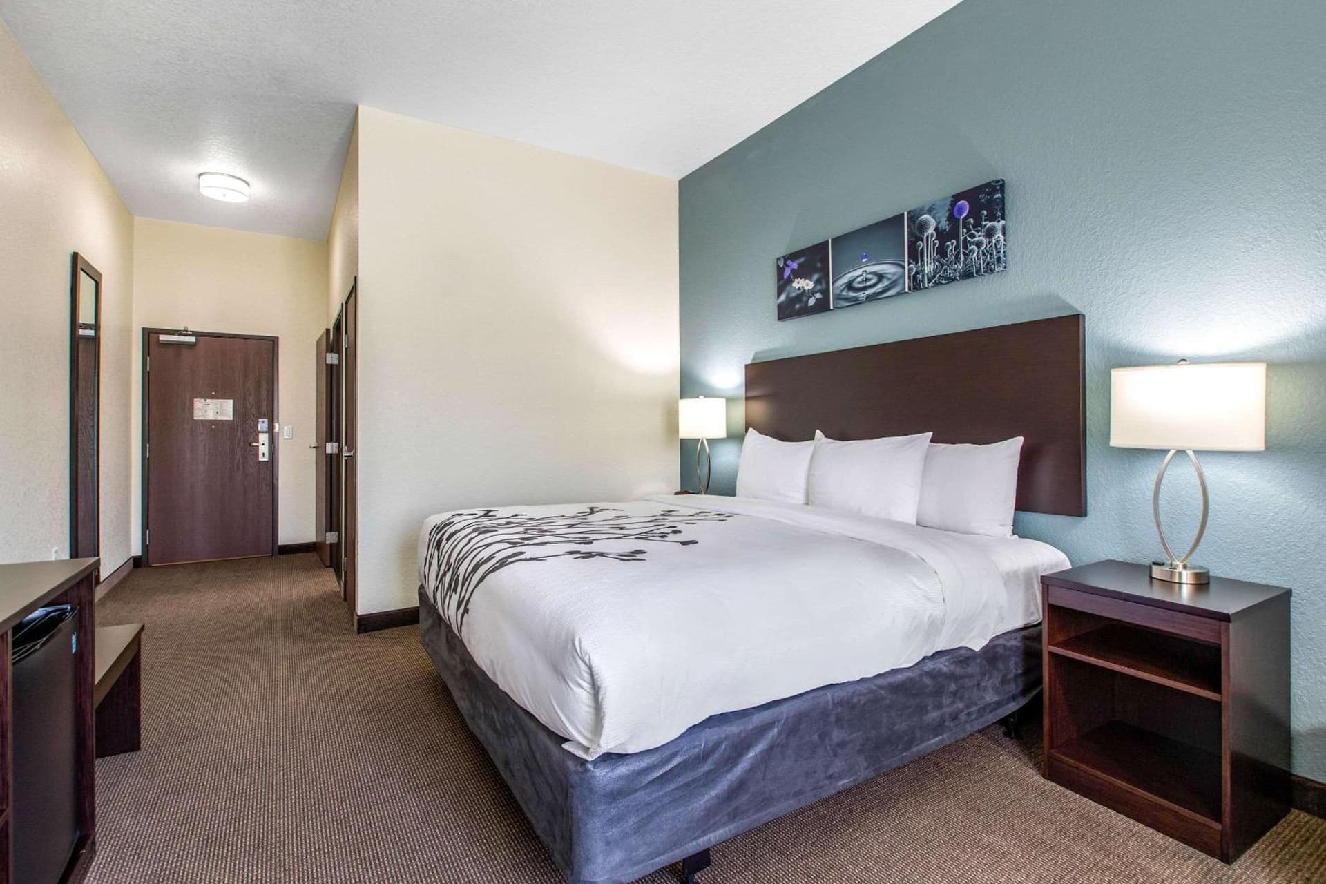 Sleep Inn and Suites - Ankeny gallery photo in Ankeny, IA — image 25