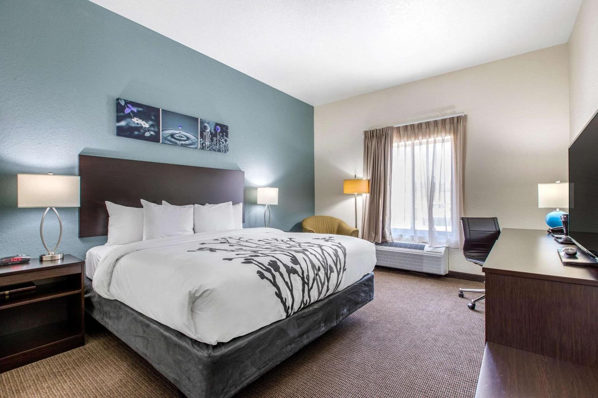 Sleep Inn and Suites - Ankeny gallery photo in Ankeny, IA — image 12