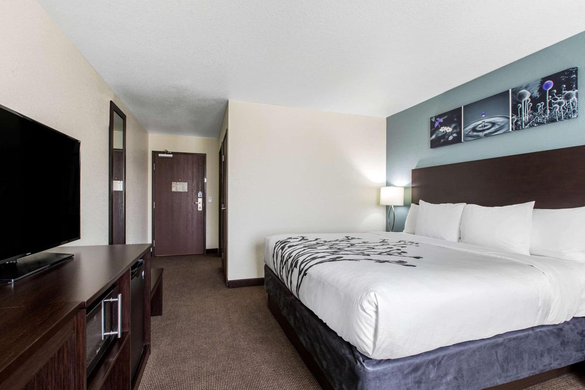 Sleep Inn and Suites - Ankeny gallery photo in Ankeny, IA — image 18