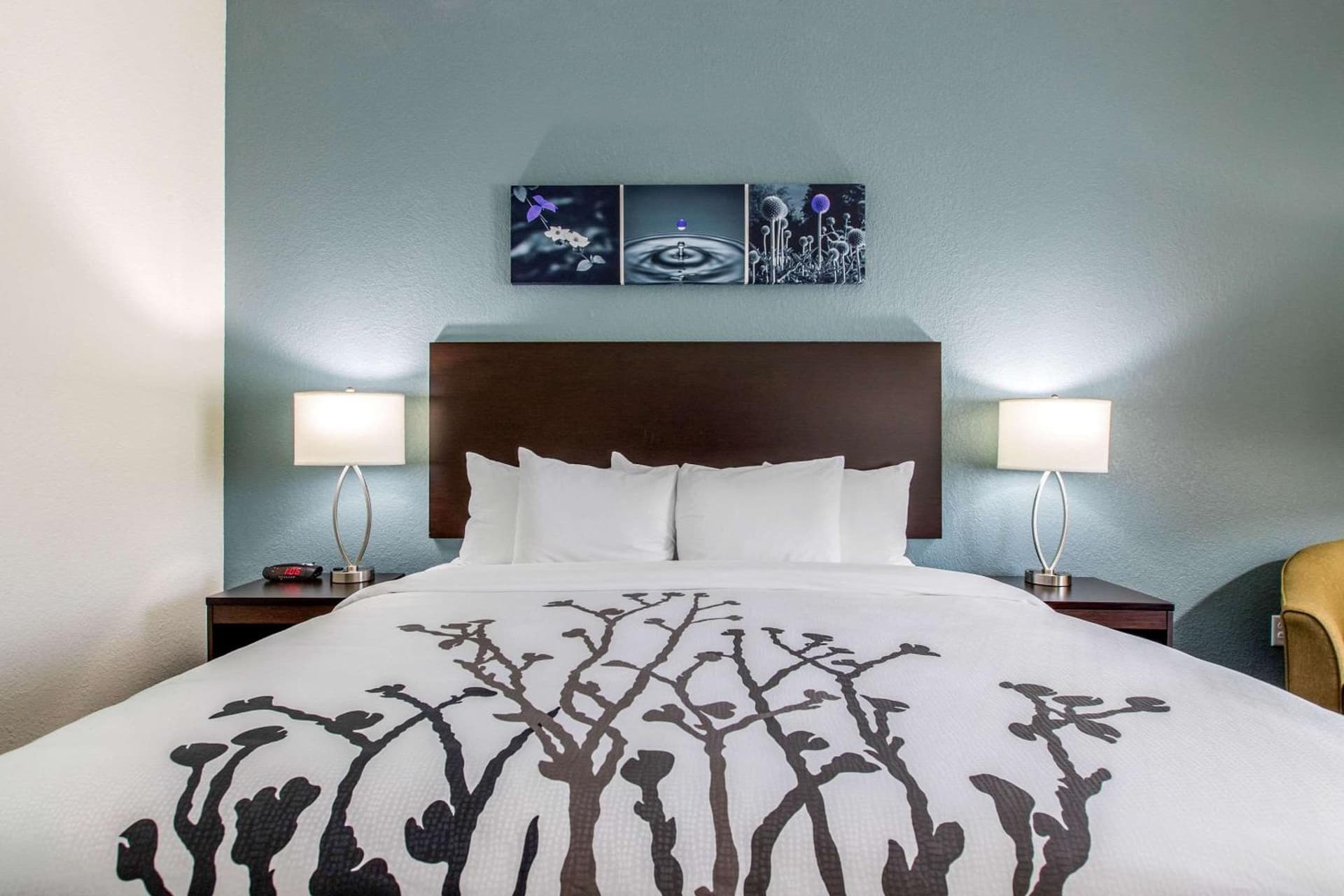Sleep Inn and Suites - Ankeny gallery photo in Ankeny, IA — image 37