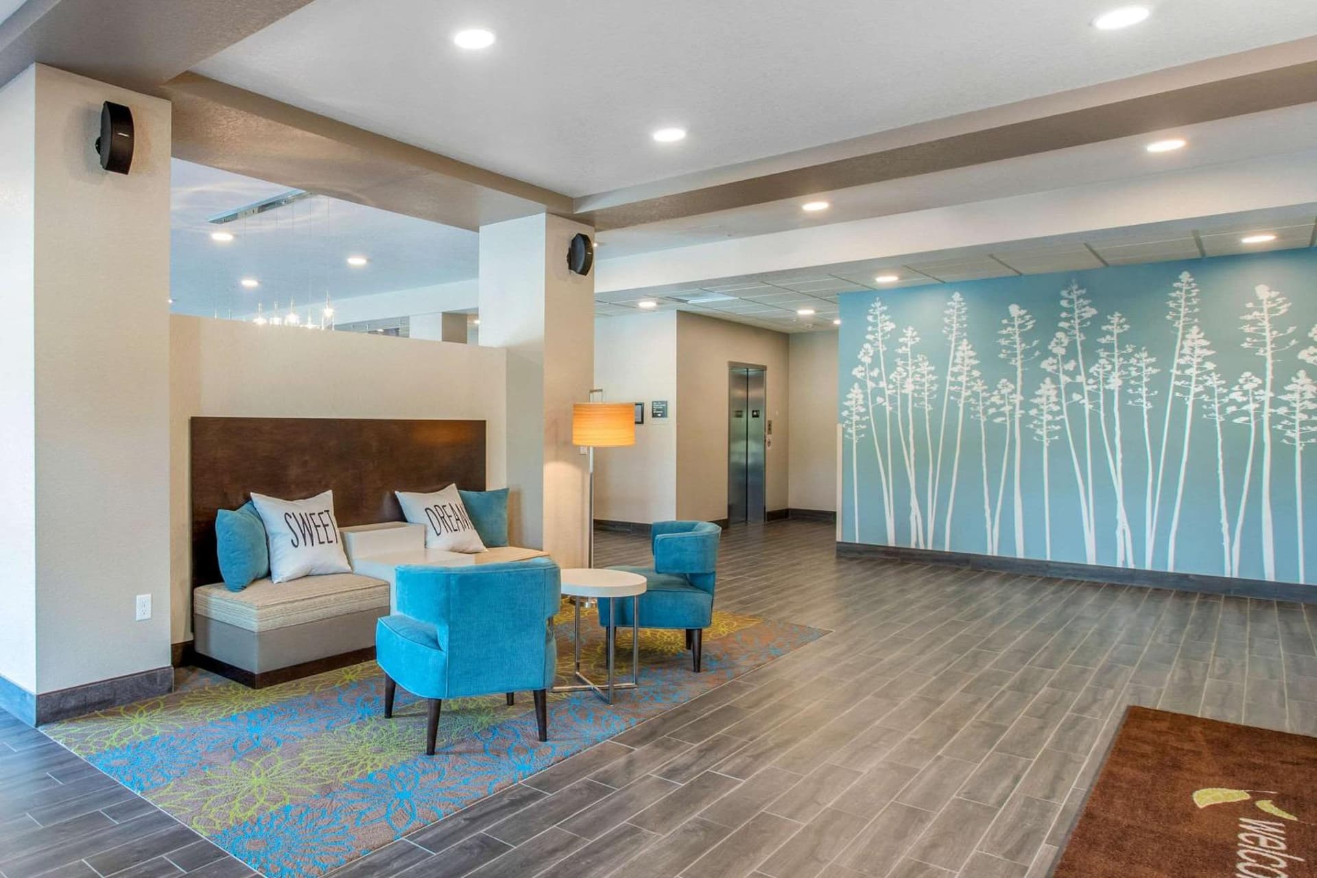 Sleep Inn and Suites - Ankeny gallery photo in Ankeny, IA — image 39