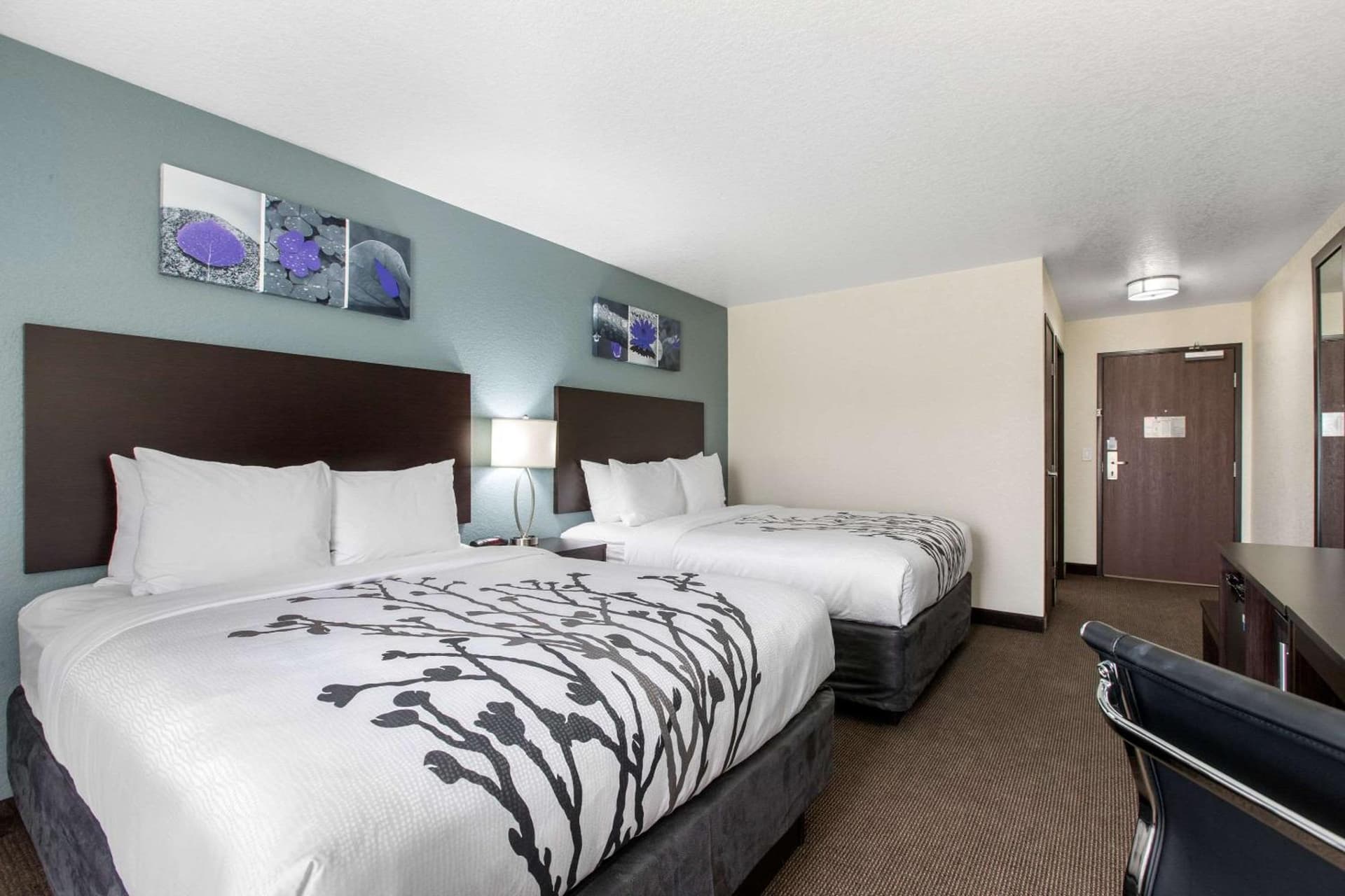Sleep Inn and Suites - Ankeny gallery photo in Ankeny, IA — image 31