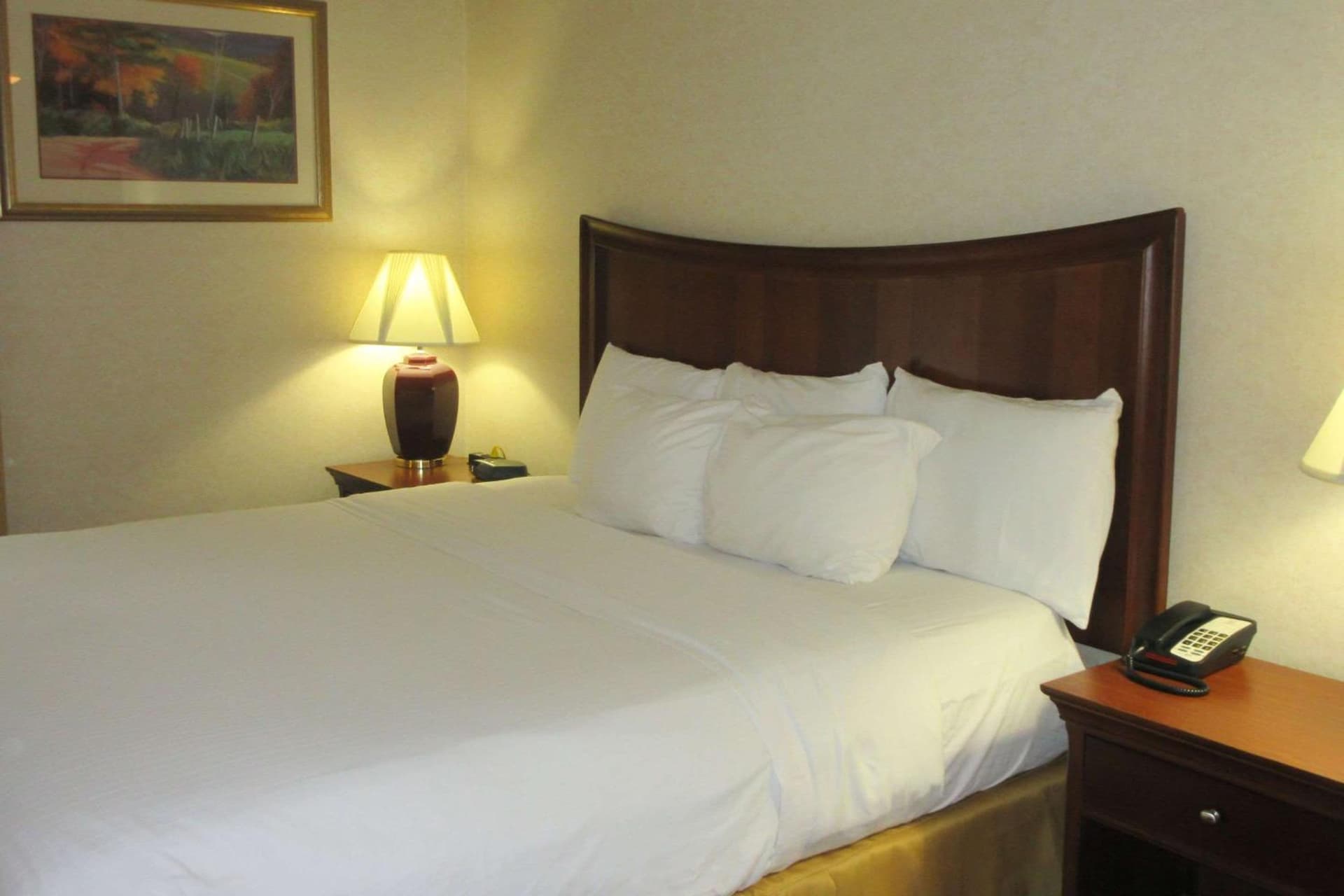 Quality Inn & Suites Owego interior in Owego — gallery photo 2