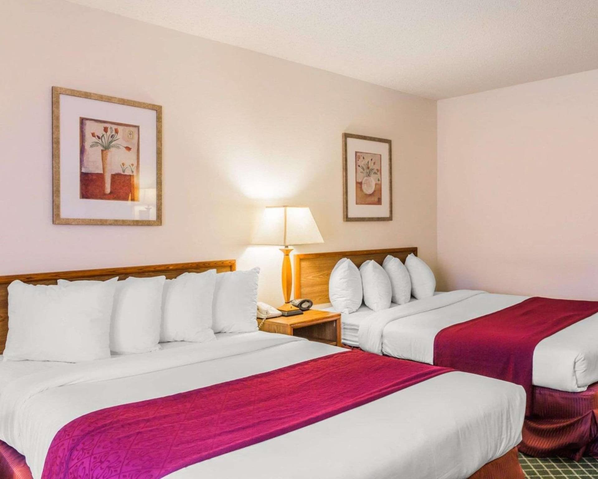 Quality Inn & Suites Golden - Denver West gallery photo in Lakewood, CO — image 30
