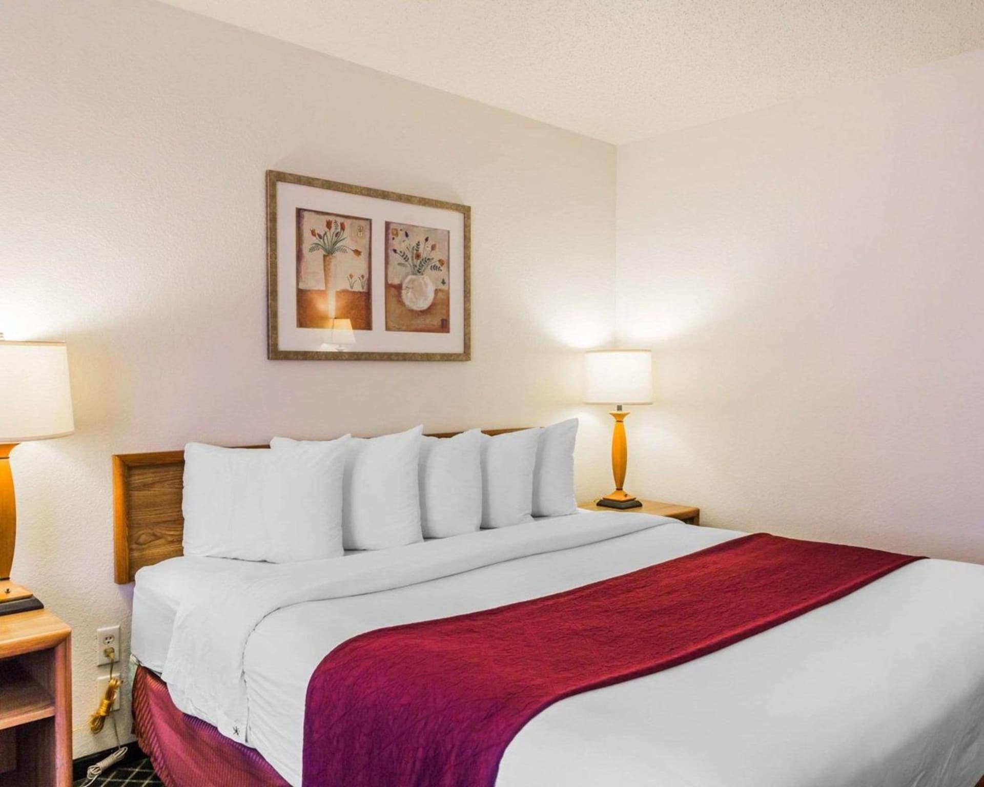 Quality Inn & Suites Golden - Denver West gallery photo in Lakewood, CO — image 19