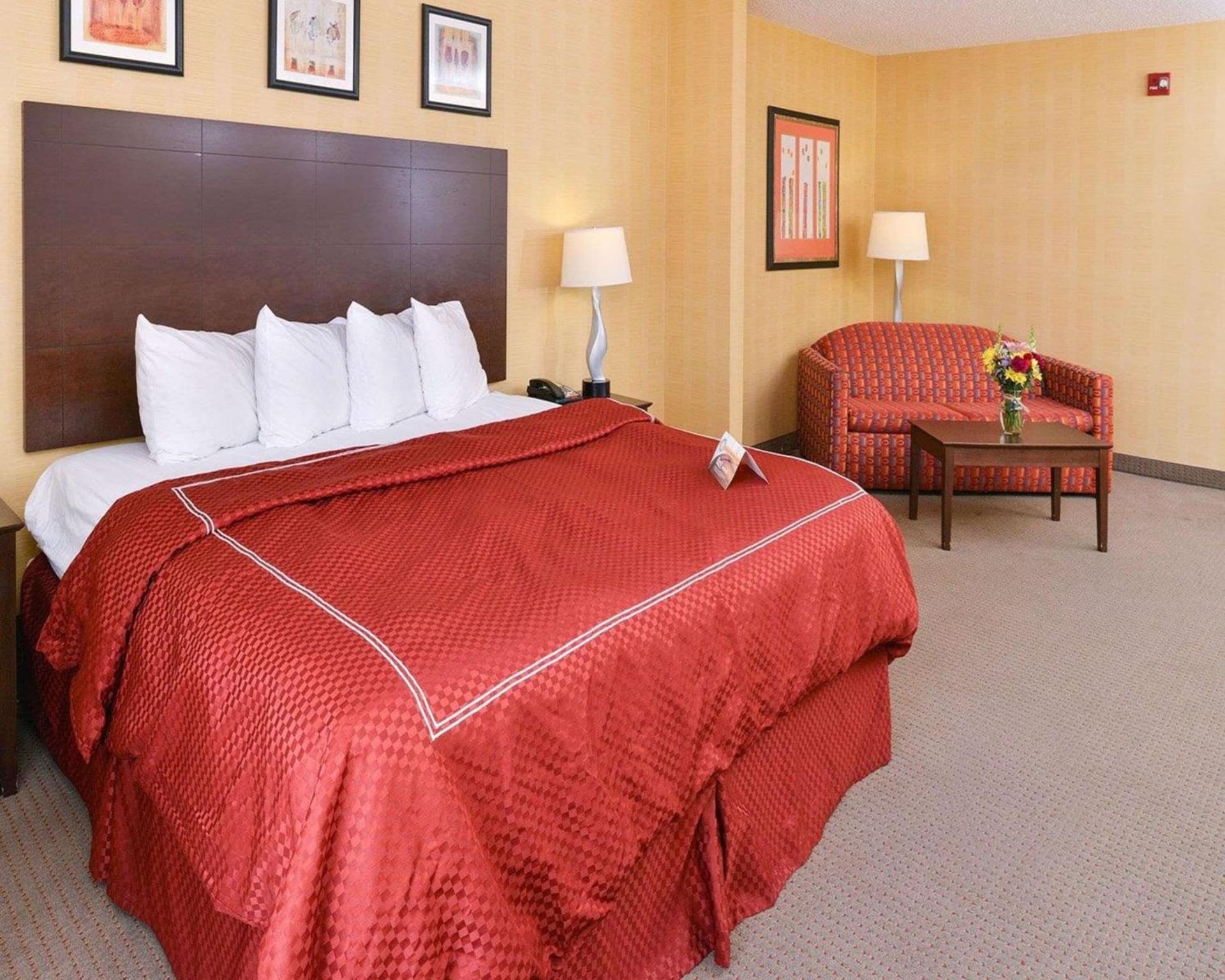 Quality Suites Stratford gallery photo in Stratford, CT — image 10