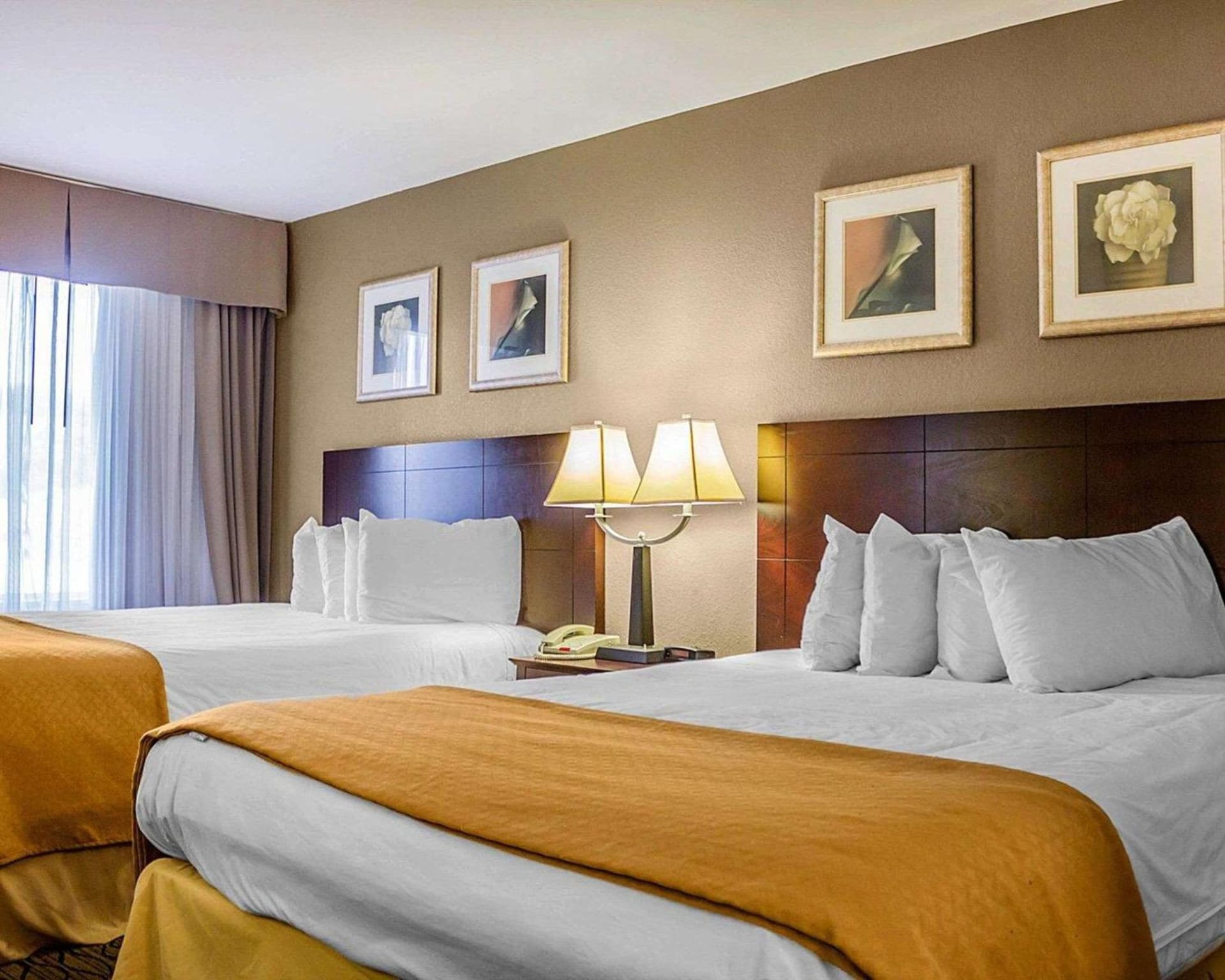 Quality Inn Waterbury East gallery photo in Waterbury, CT — image 19