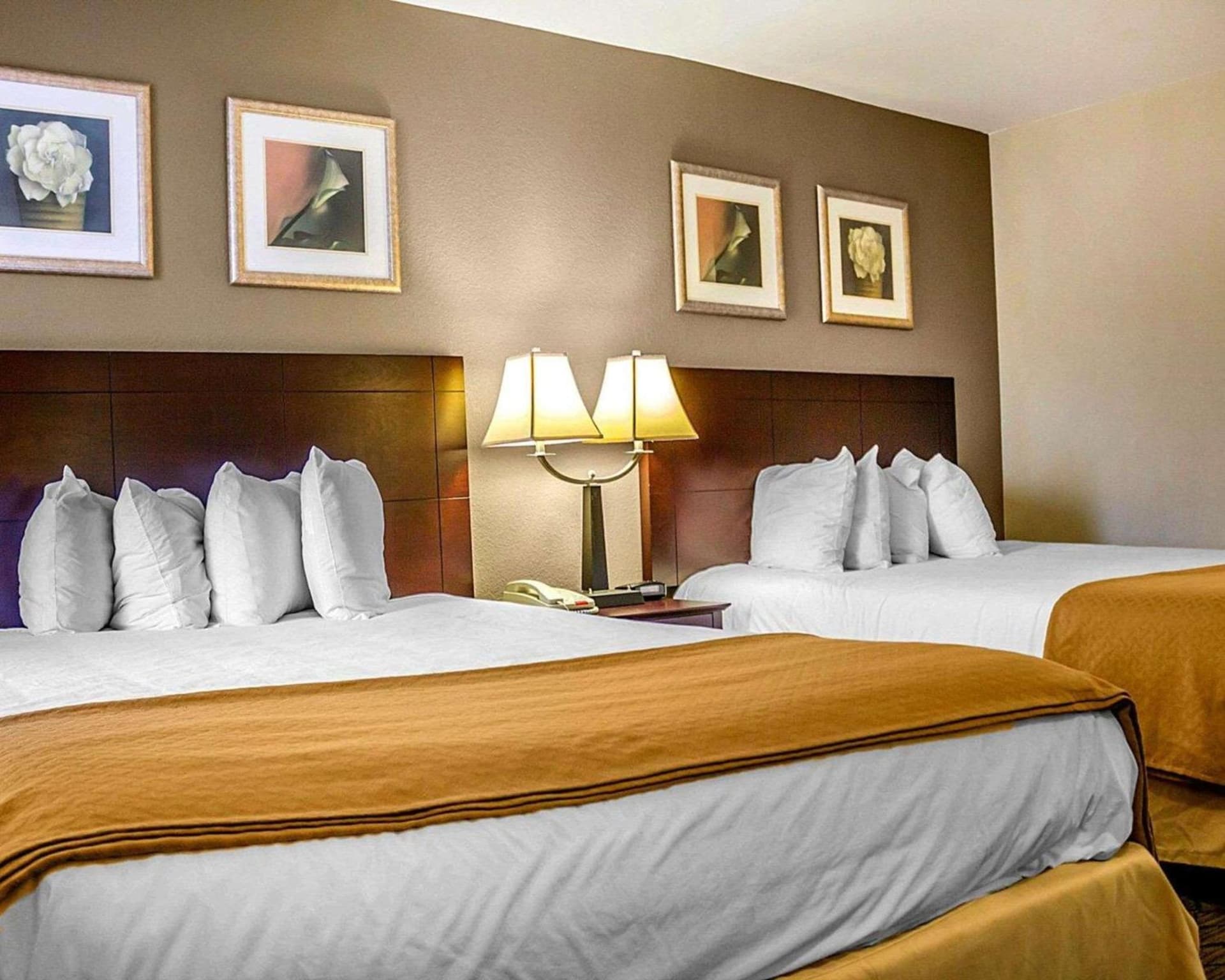 Quality Inn Waterbury East gallery photo in Waterbury, CT — image 14