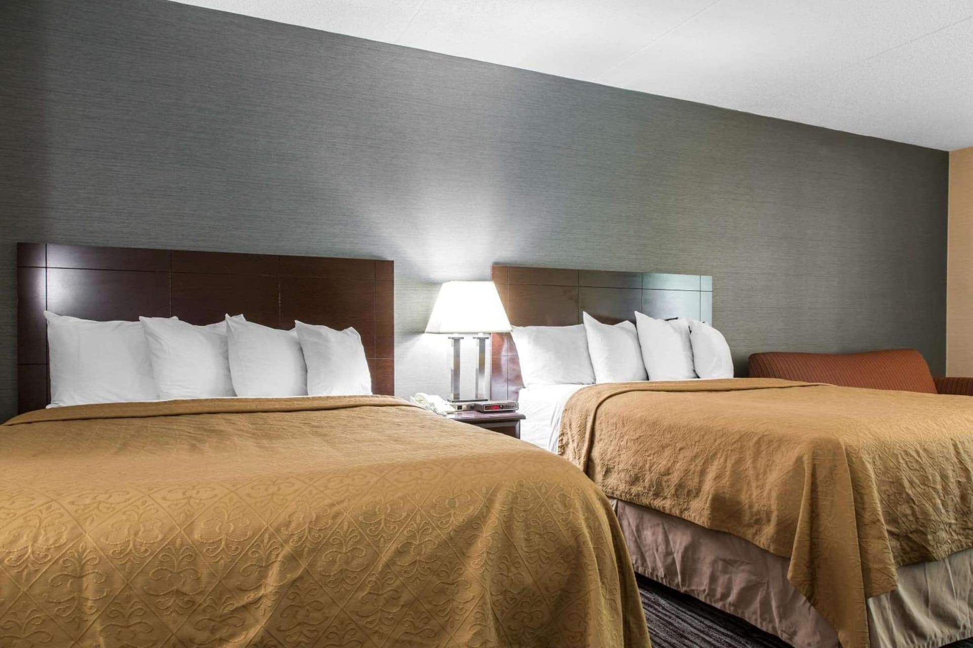 Quality Inn & Suites Danbury near University gallery photo in Danbury, CT — image 30