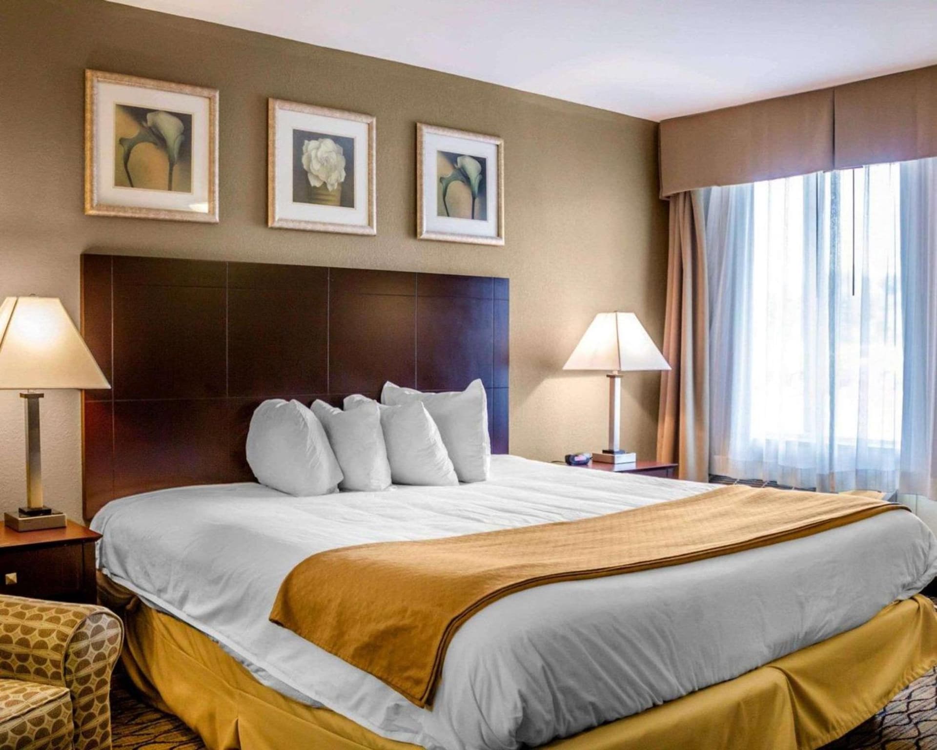 Quality Inn Waterbury East gallery photo in Waterbury, CT — image 8