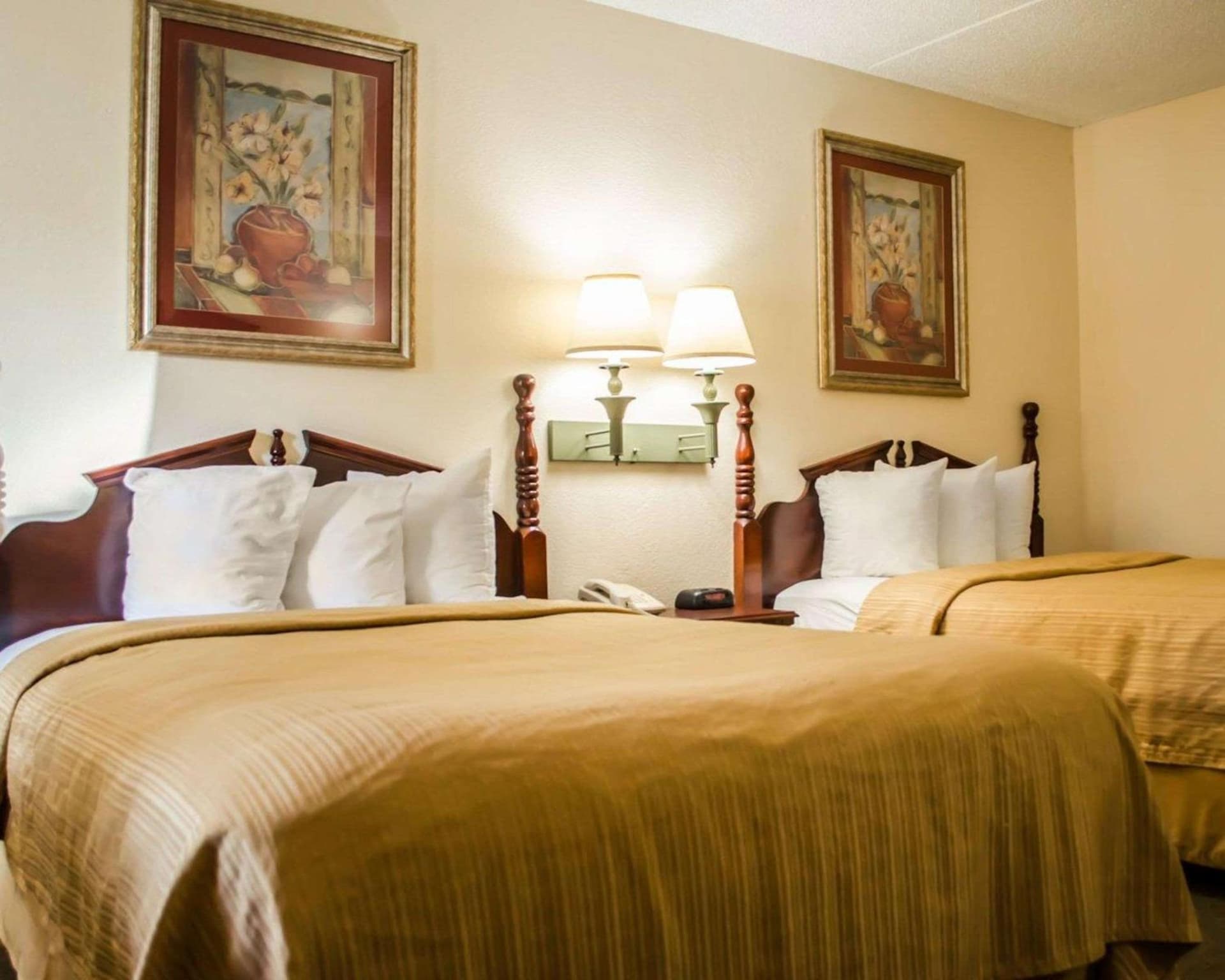 Quality Inn Crystal River gallery photo in Crystal River, FL — image 23