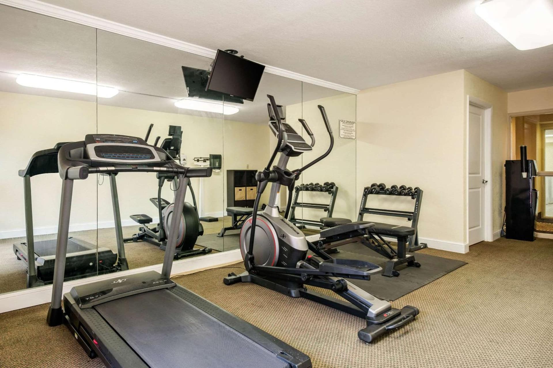 Quality Inn & Suites Tarpon Springs South gallery photo in Tarpon Springs, FL — image 11