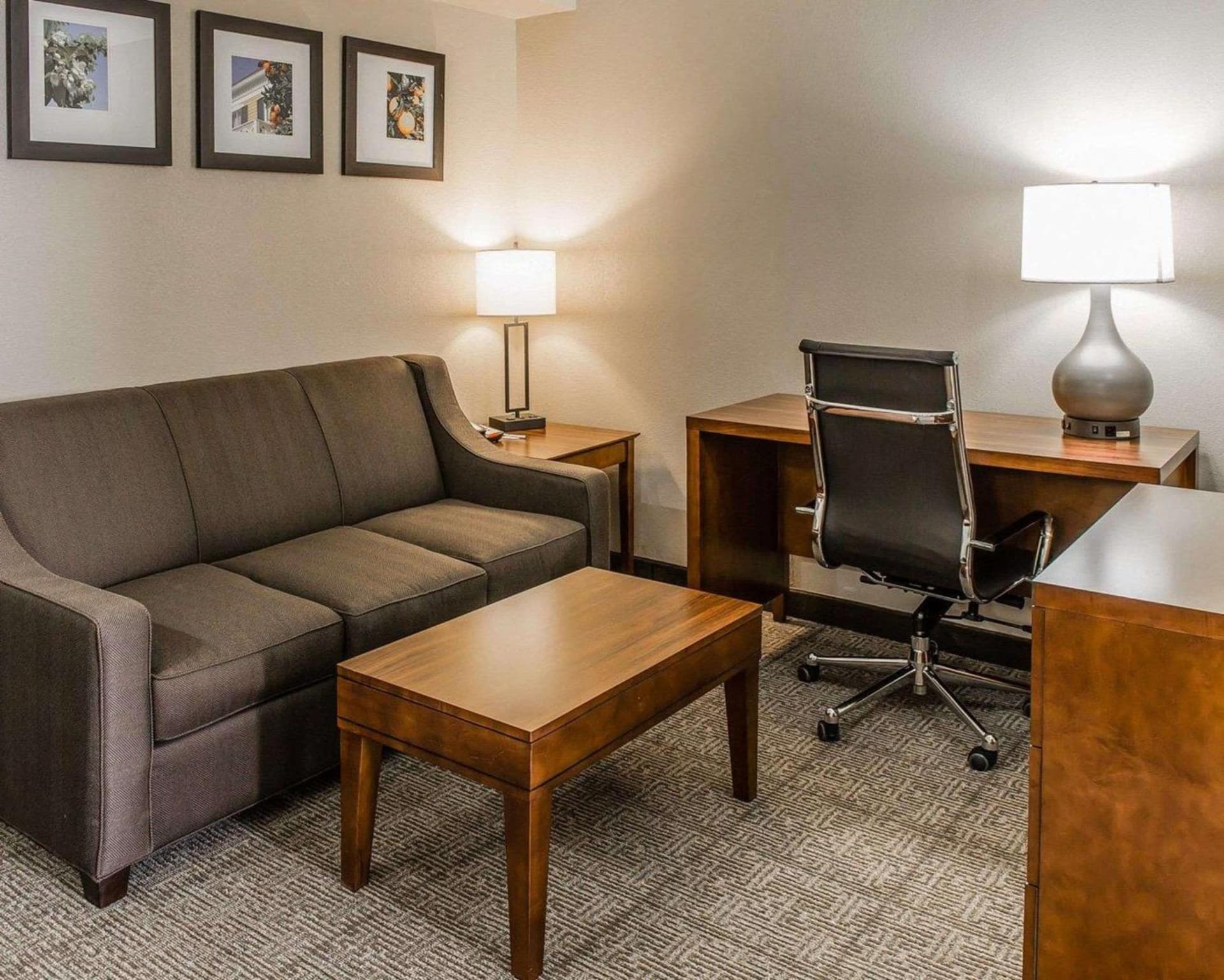Comfort Inn & Suites Lakeland North I-4 gallery photo in Lakeland, FL — image 18