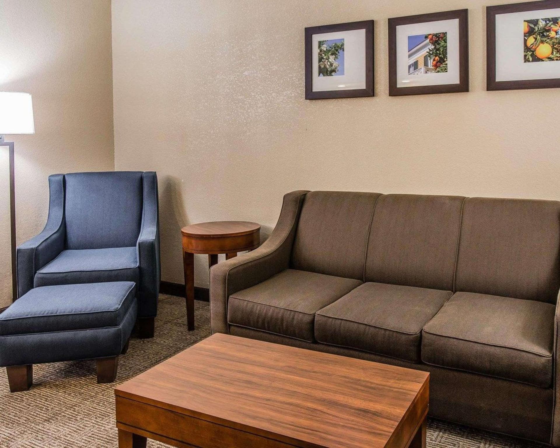 Comfort Inn & Suites Lakeland North I-4 gallery photo in Lakeland, FL — image 12