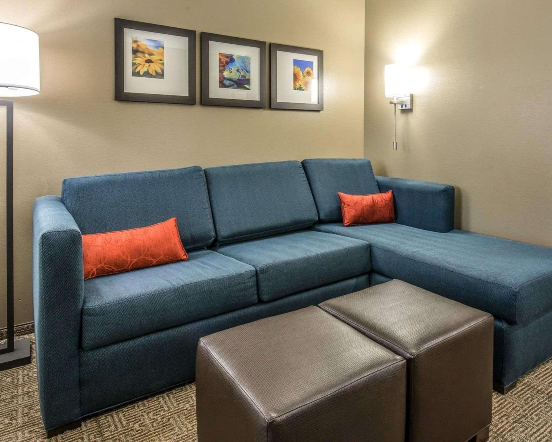 Comfort Suites Dunnellon near Rainbow Springs gallery photo in Dunnellon, FL — image 10