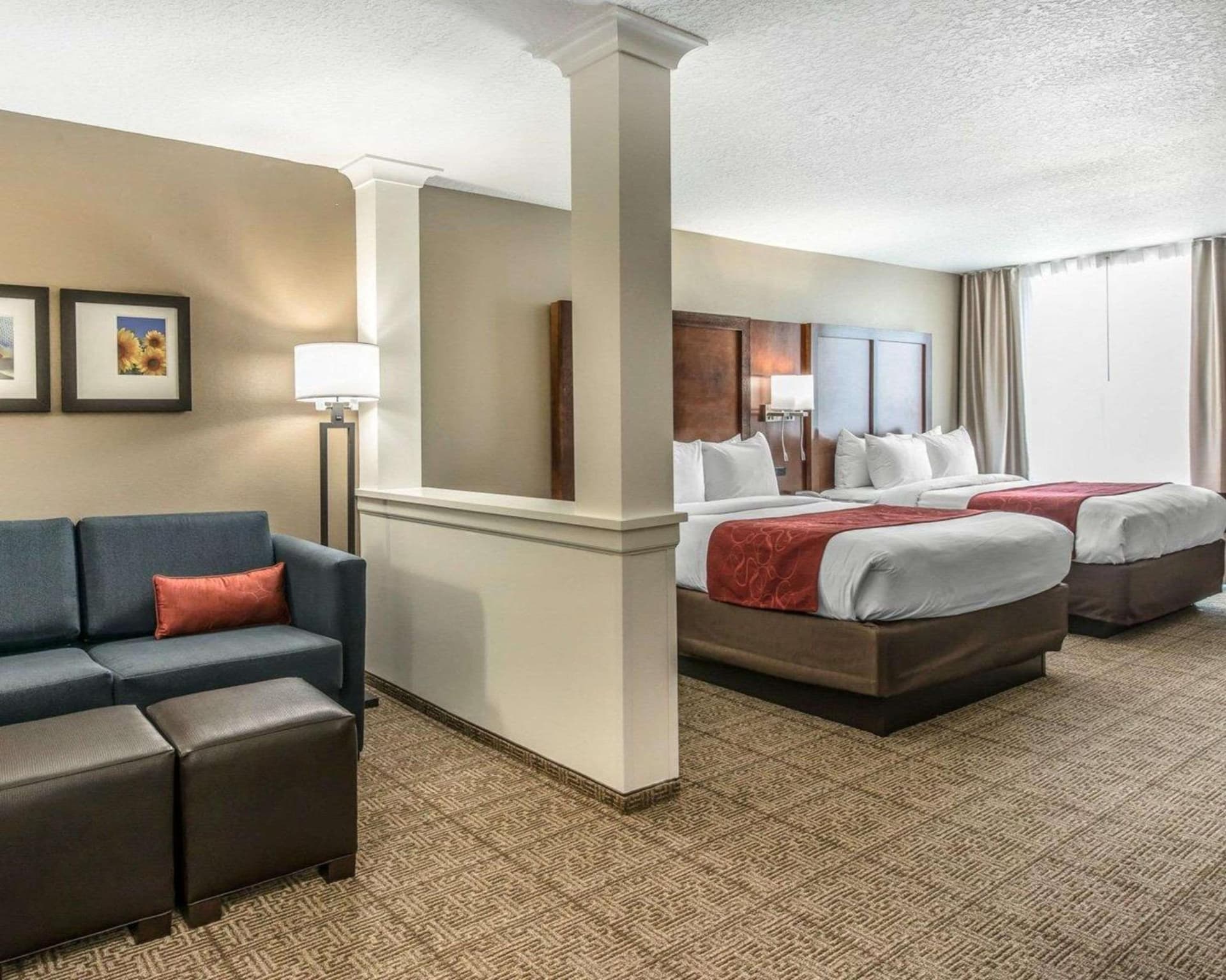 Comfort Suites Dunnellon near Rainbow Springs gallery photo in Dunnellon, FL — image 14