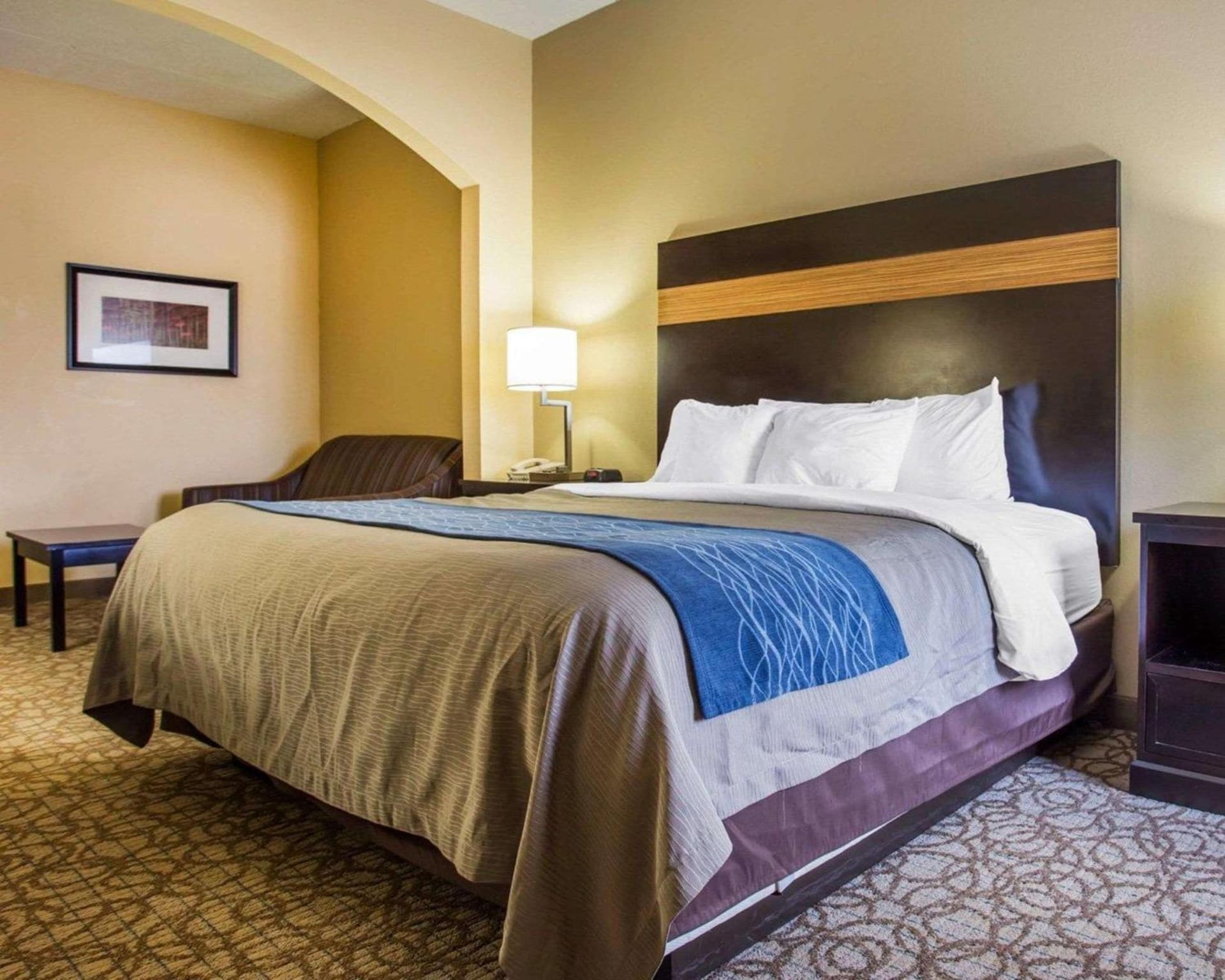 Comfort Inn & Suites at Stone Mountain gallery photo in Stone Mountain, GA — image 35
