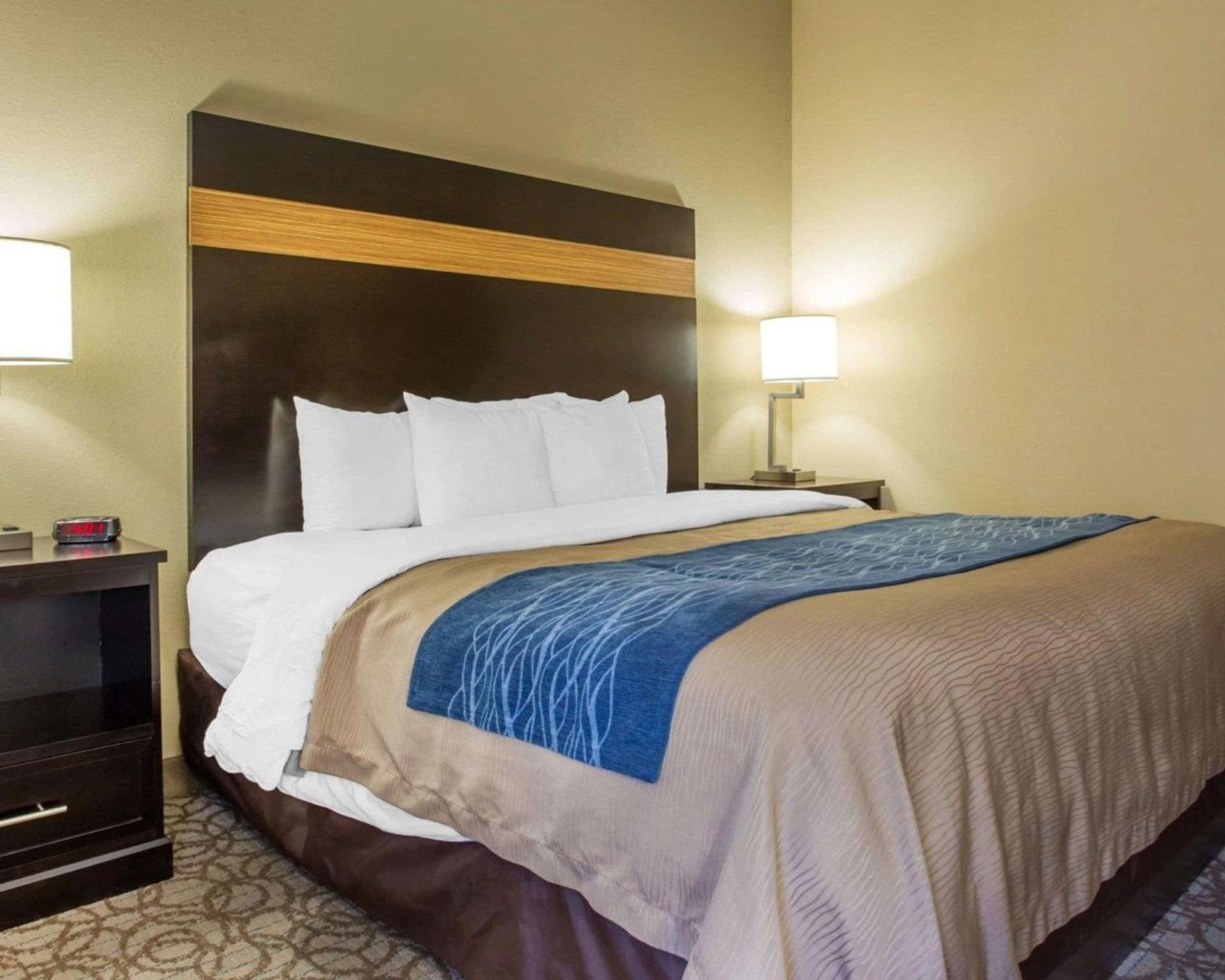 Comfort Inn & Suites at Stone Mountain gallery photo in Stone Mountain, GA — image 6