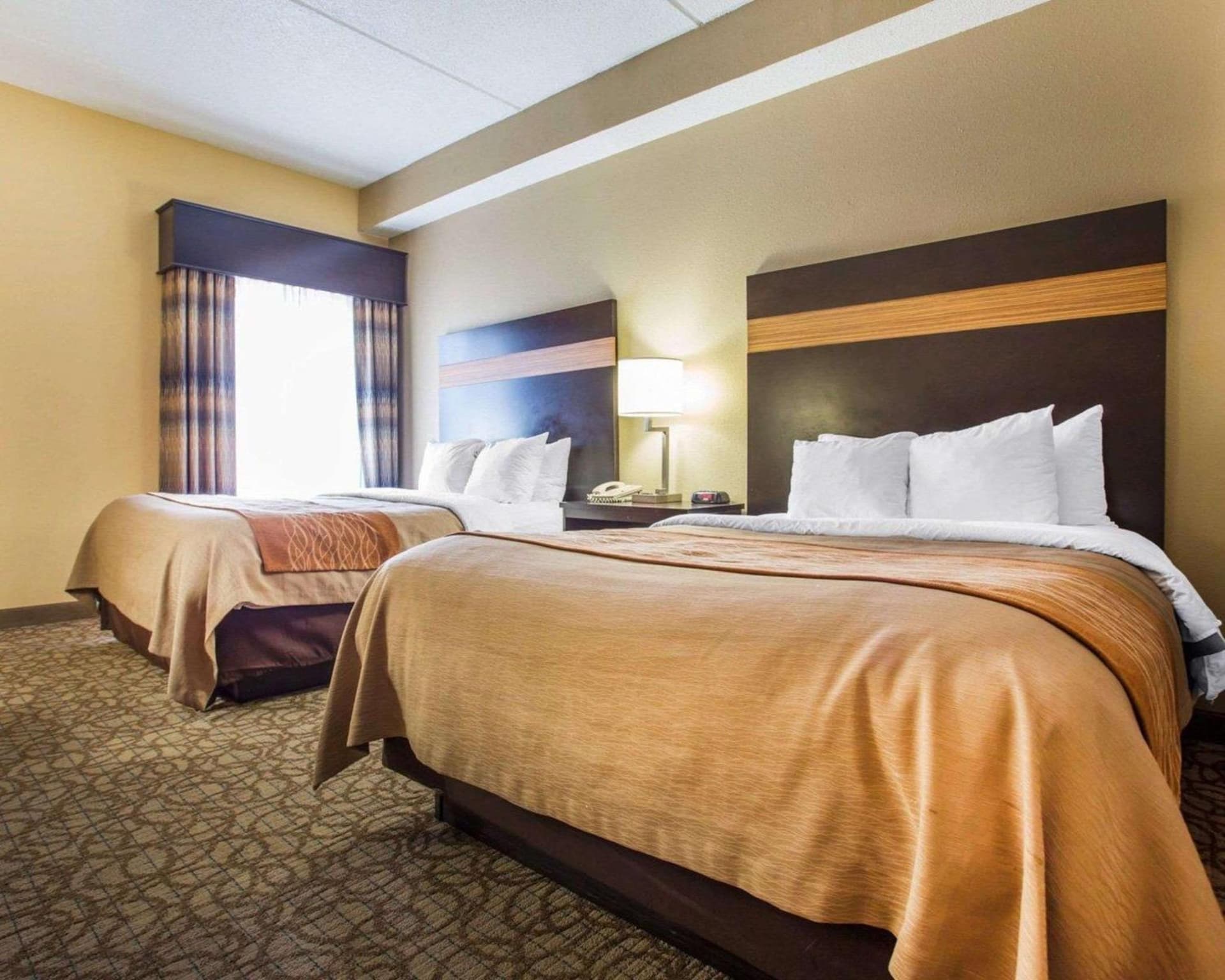 Comfort Inn & Suites at Stone Mountain gallery photo in Stone Mountain, GA — image 4