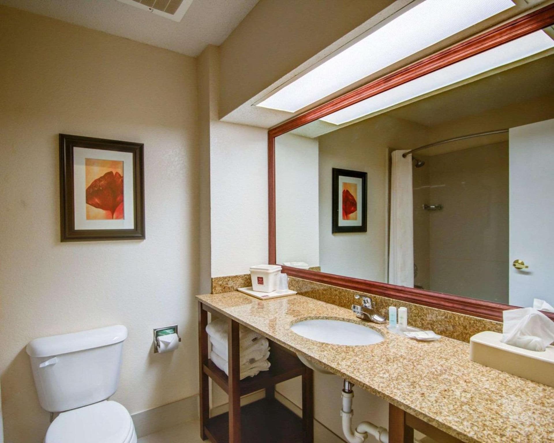 Comfort Suites Northside Hospital Gwinnett gallery photo in Lawrenceville, GA — image 6