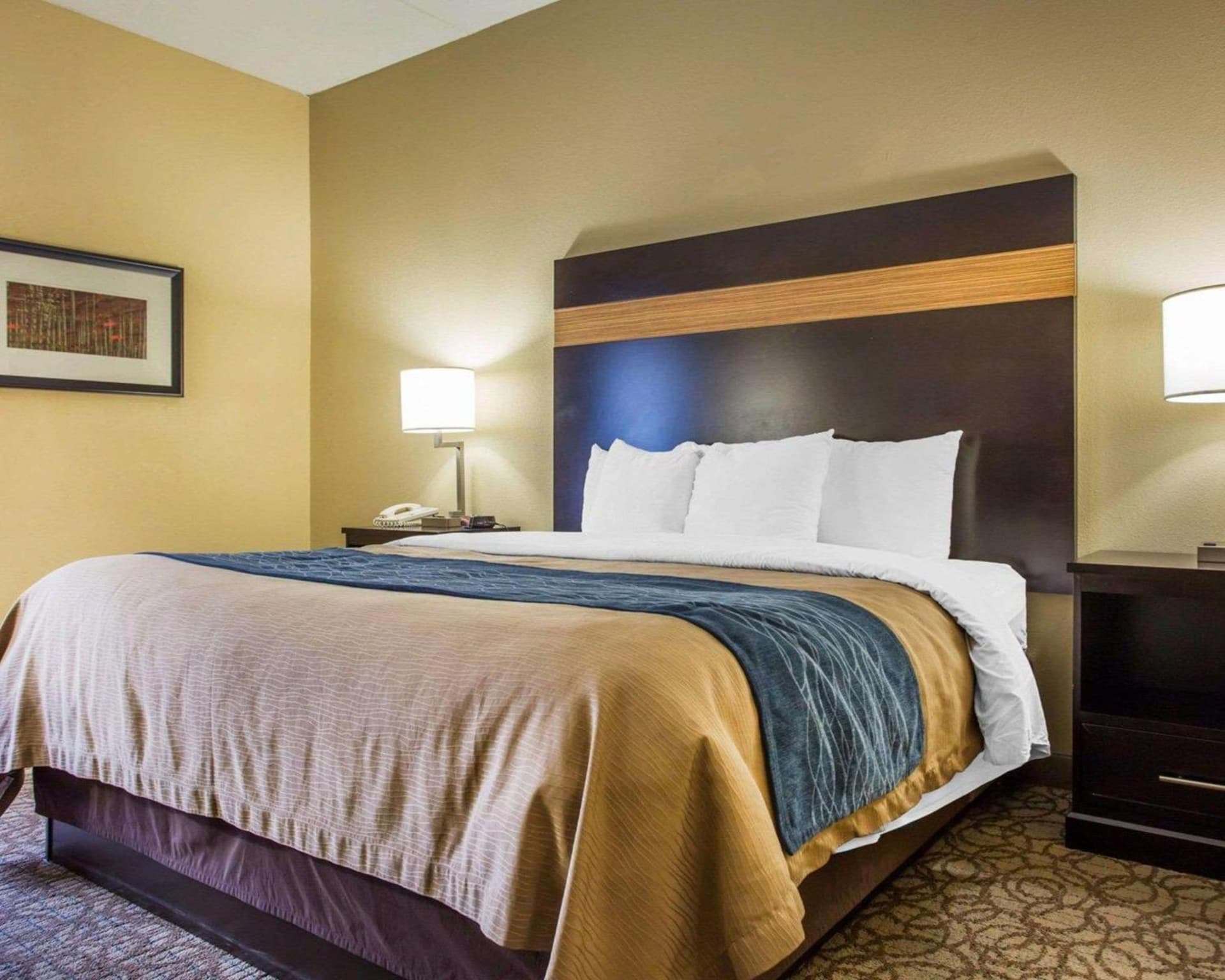 Comfort Inn & Suites at Stone Mountain gallery photo in Stone Mountain, GA — image 33