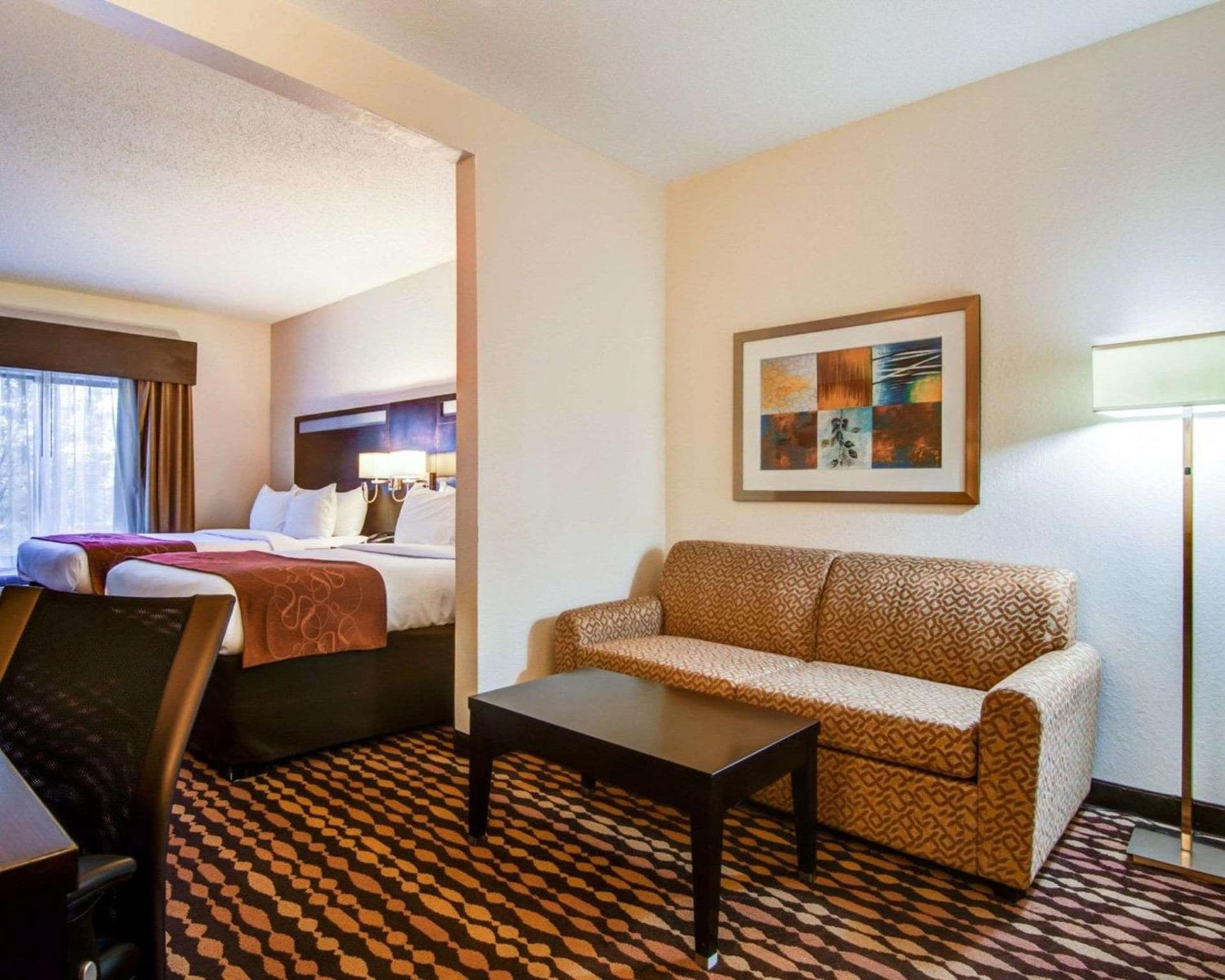 Comfort Suites Northside Hospital Gwinnett property views in Lawrenceville, GA — gallery photo 3
