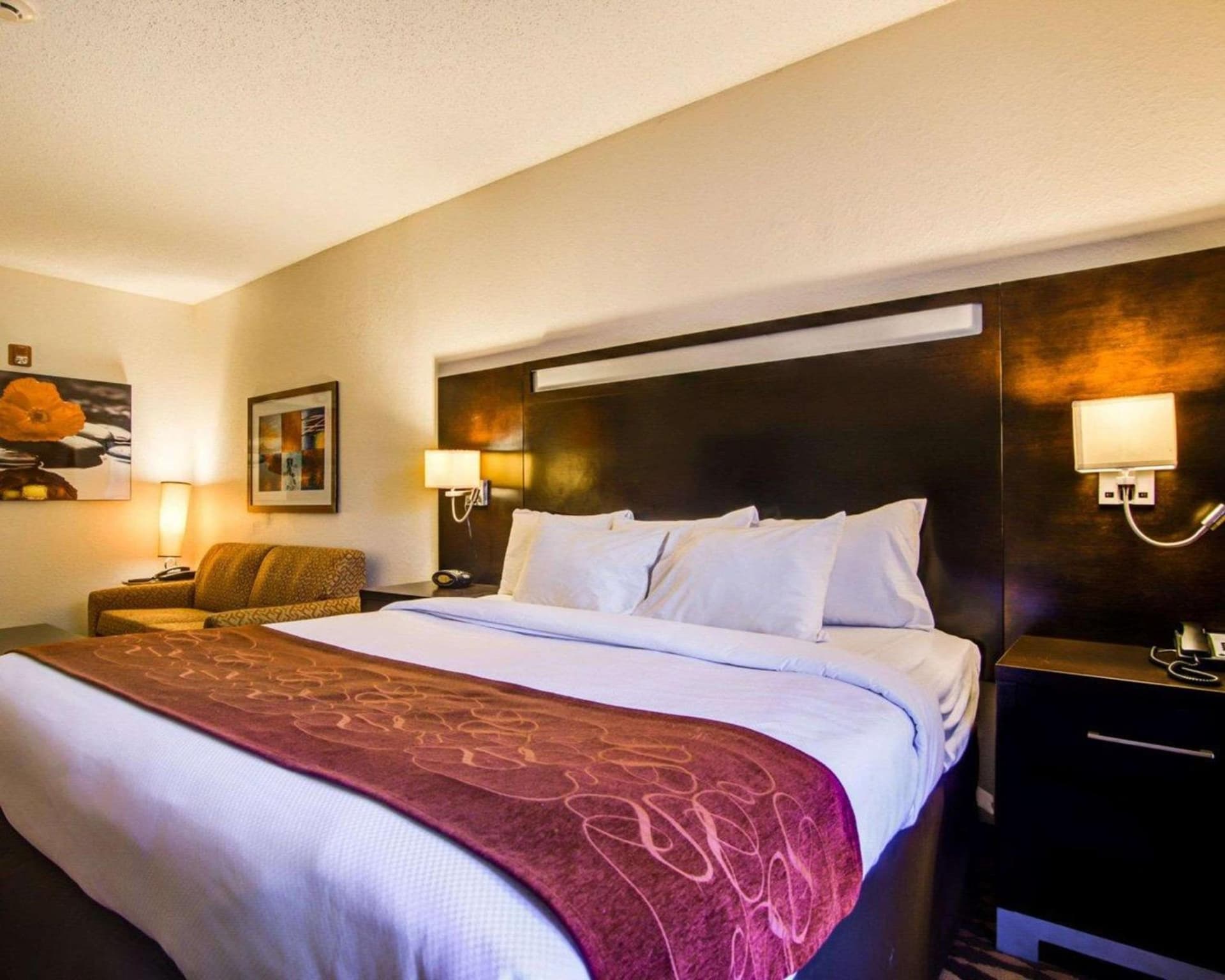 Comfort Suites Northside Hospital Gwinnett gallery photo in Lawrenceville, GA — image 5