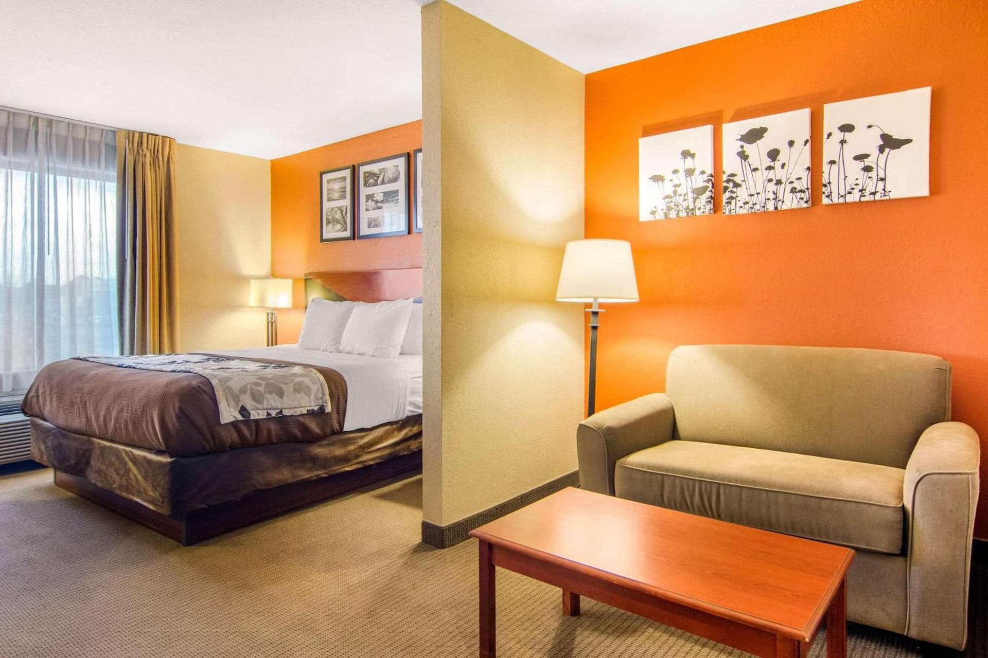 Sleep Inn & Suites Athens South gallery photo in Athens, GA — image 21