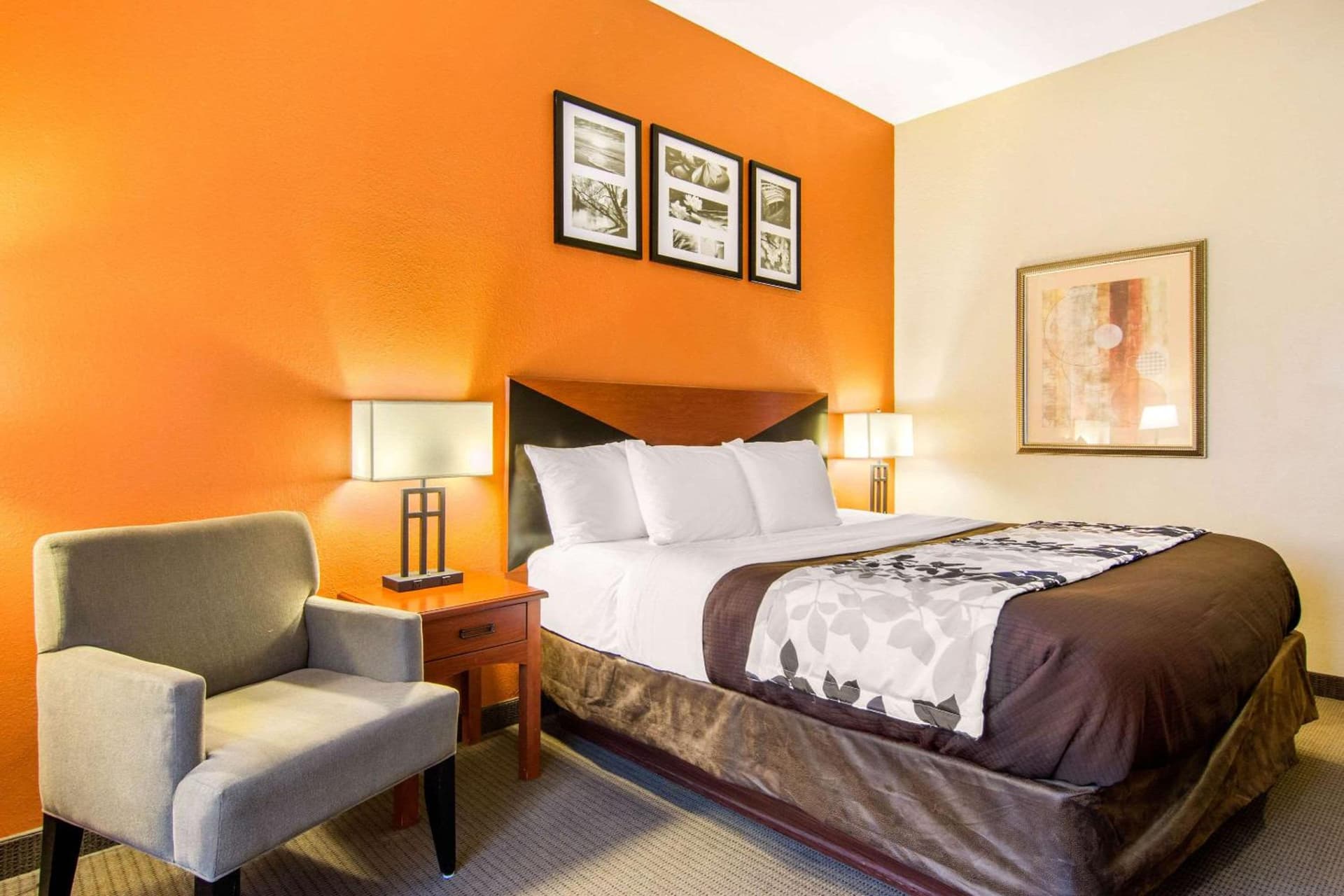 Sleep Inn & Suites Athens South gallery photo in Athens, GA — image 10
