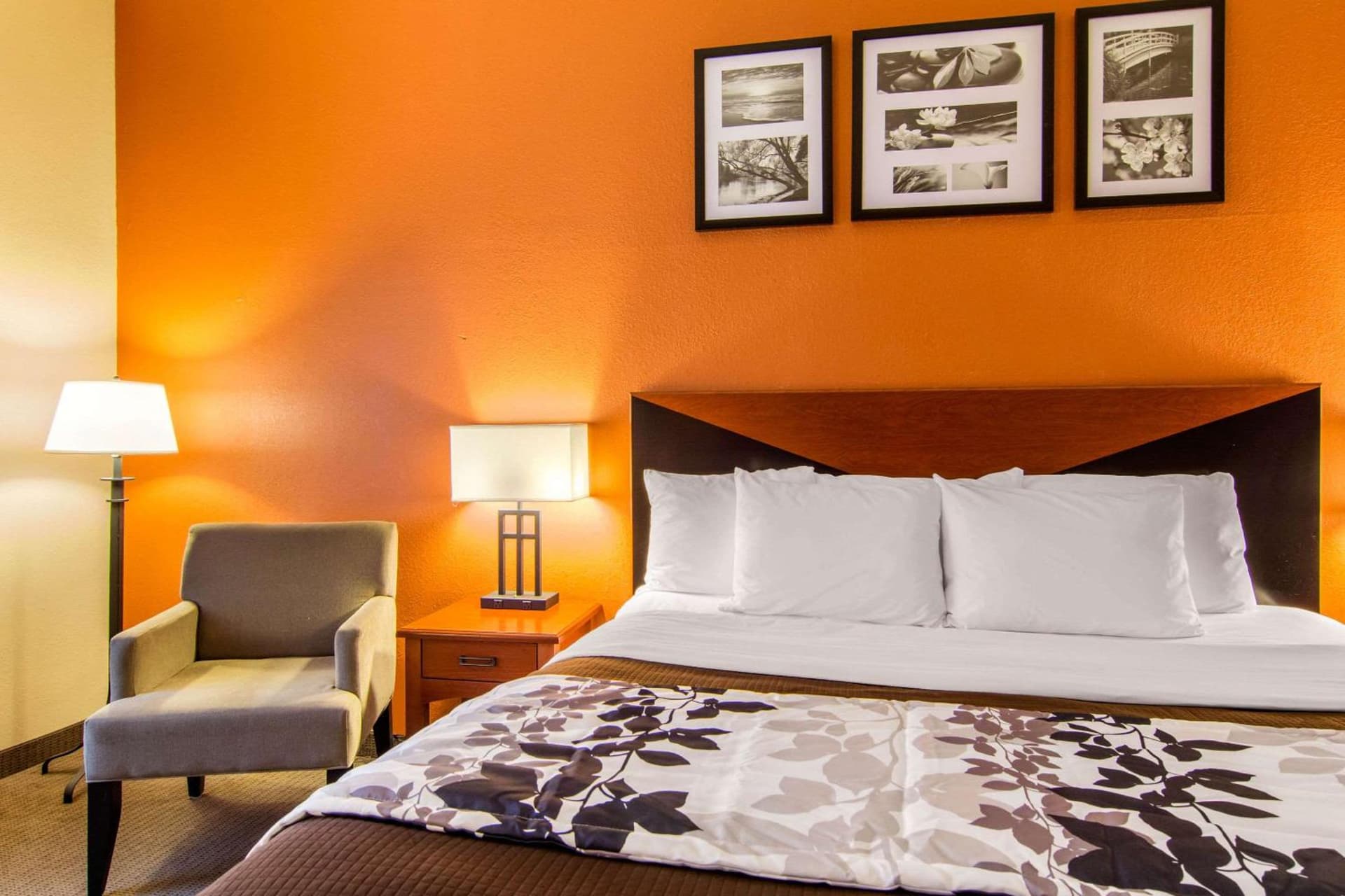 Sleep Inn & Suites Athens South gallery photo in Athens, GA — image 24